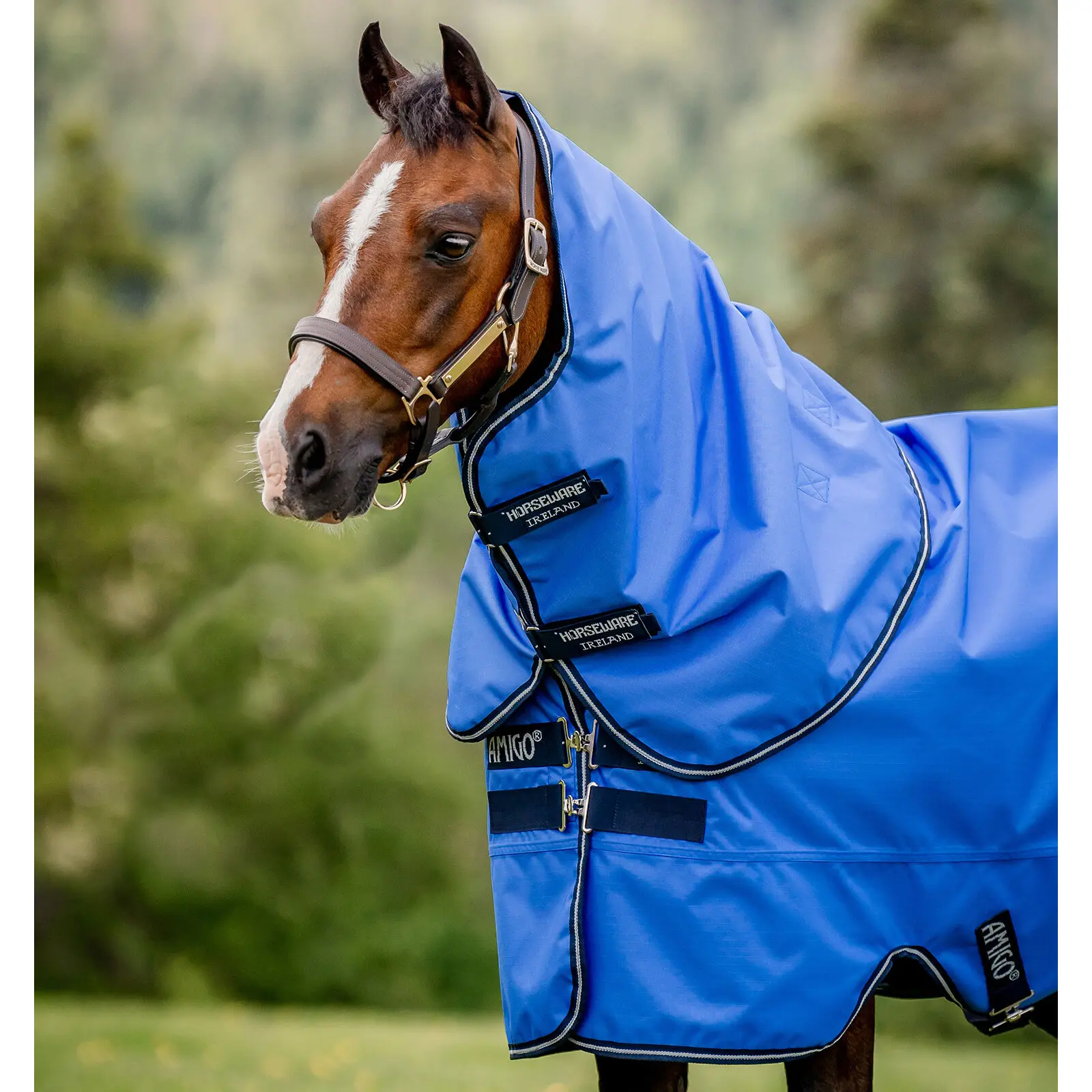 Horseware Bleu Horse Neck Cover Amigo Hero Ripstop 0G