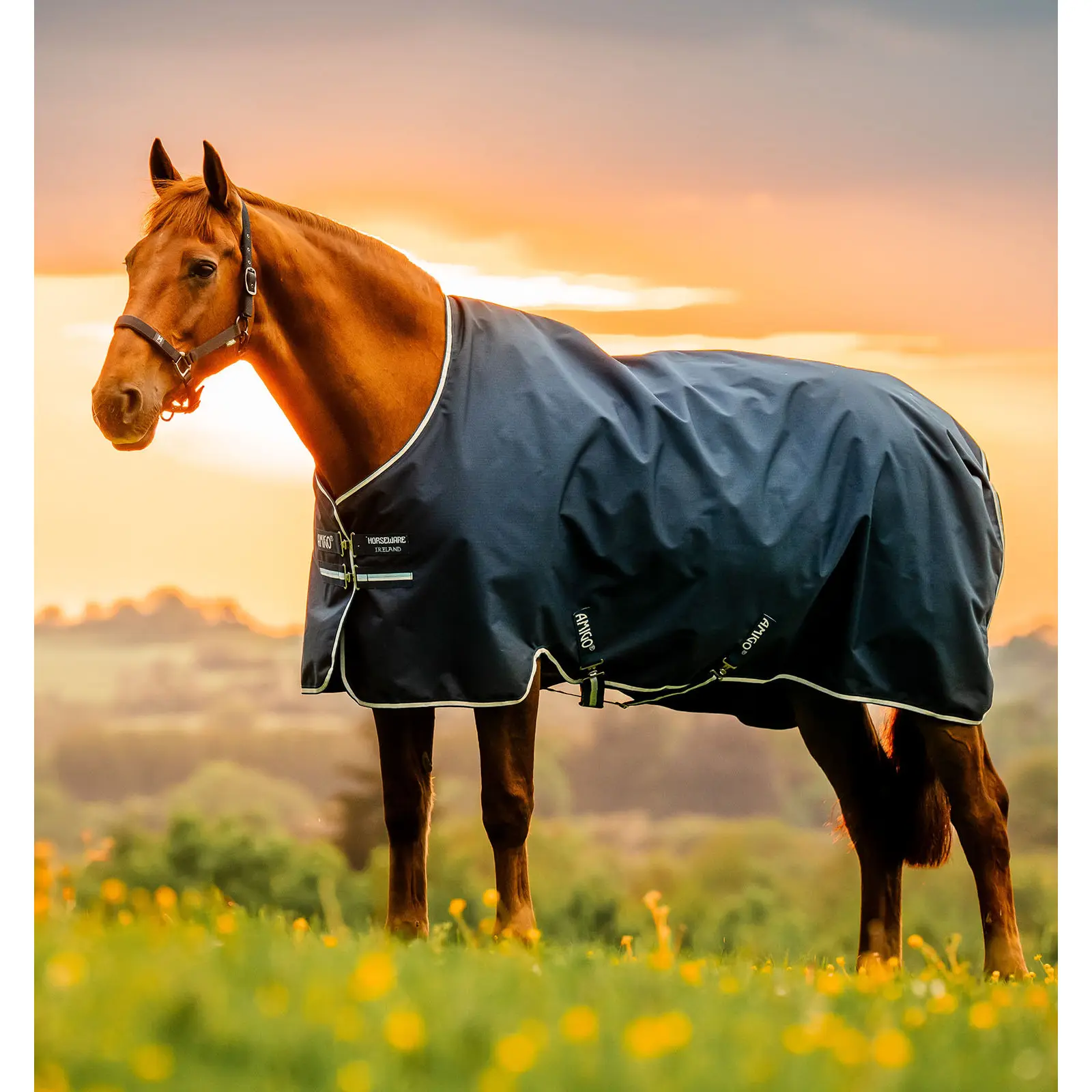 Comparer les prix de Couverture d'extérieur pour poney Horseware Amigo Ripstop 900D 200g