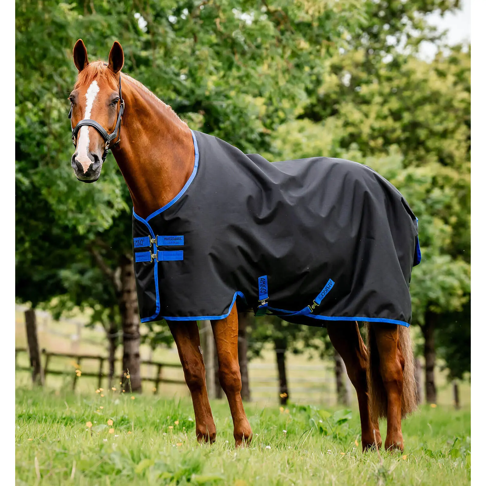 Meilleurs prix pour Couverture d'extérieur pour cheval imperméable Horseware Amigo Ripstop 900D Lined Turnout 50g