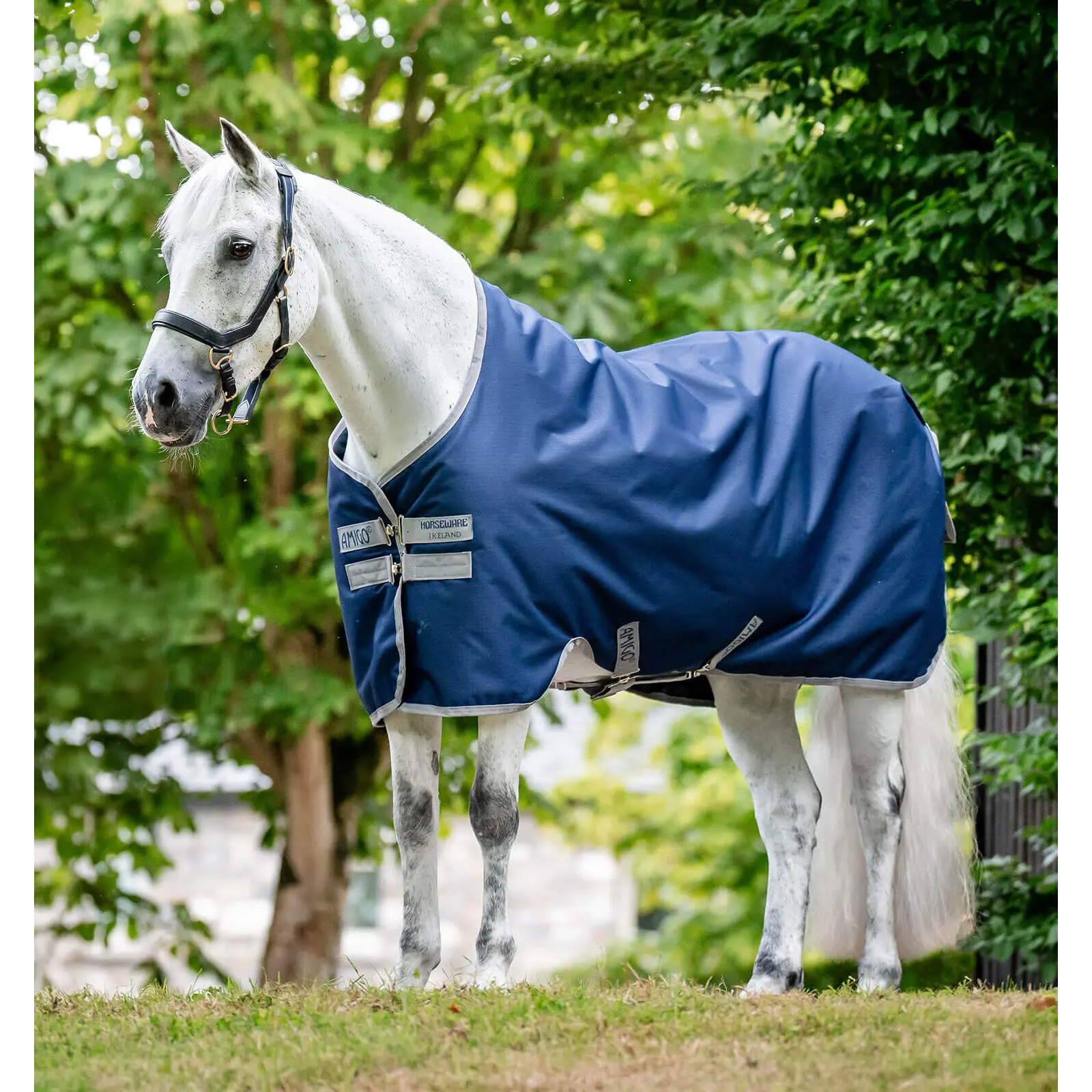 Comparer les prix de Couverture d'extérieur pour cheval doublée polaire Horseware Amigo Ripstop 900D 50g