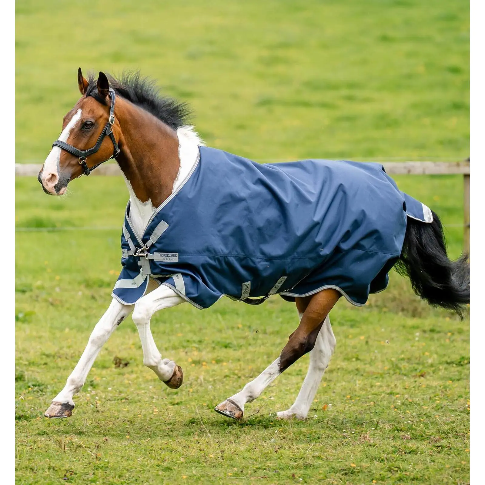 Comparer les prix de Couverture d'extérieur pour cheval Horseware Amigo 1200D XL Turnout 0g