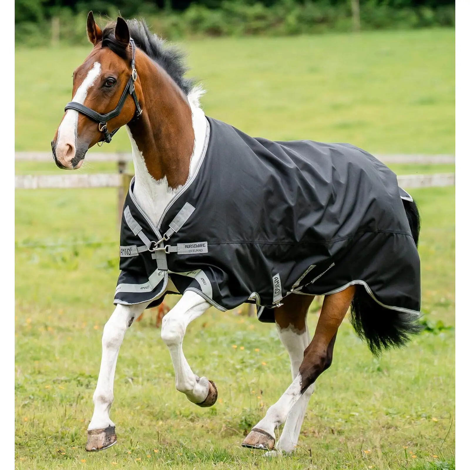 Comparer les prix de Couverture d'extérieur pour cheval Horseware Amigo 1200D XL Turnout 0g