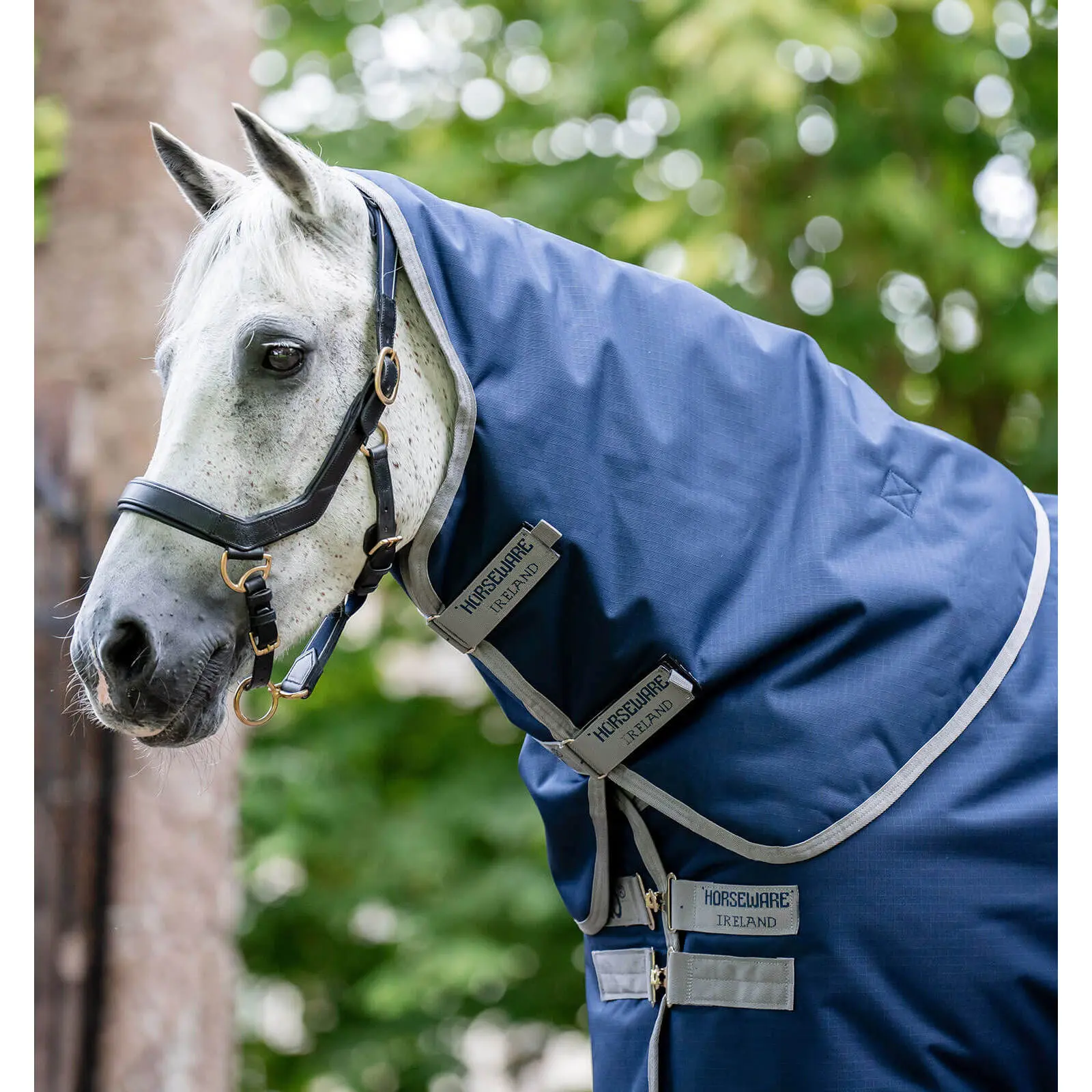 Meilleurs prix pour Couvre-cou pour cheval Horseware Amigo Ripstop 900D Turnout 0g