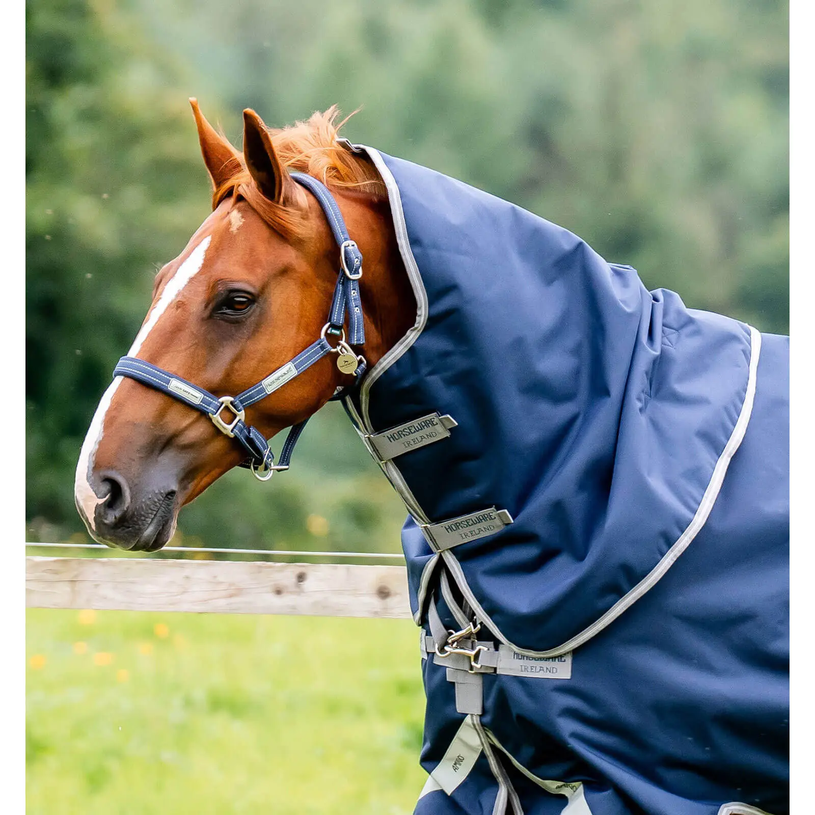 Couvre-cou pour cheval Horseware Amigo 1200D Turnout 0g