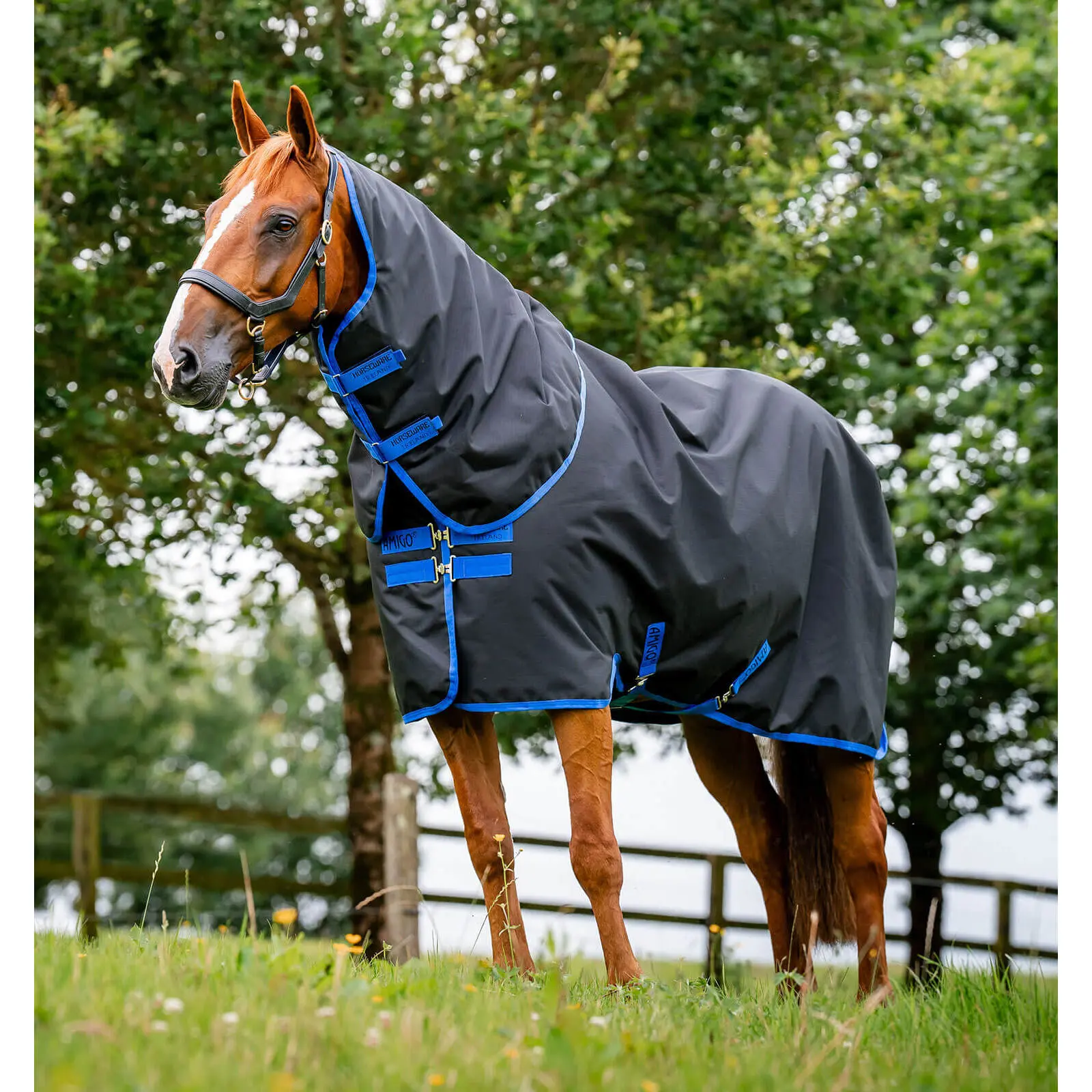 Couverture d'extérieur pour cheval avec couvre-cou Horseware Amigo Ripstop 900D Plus Turnout 100g