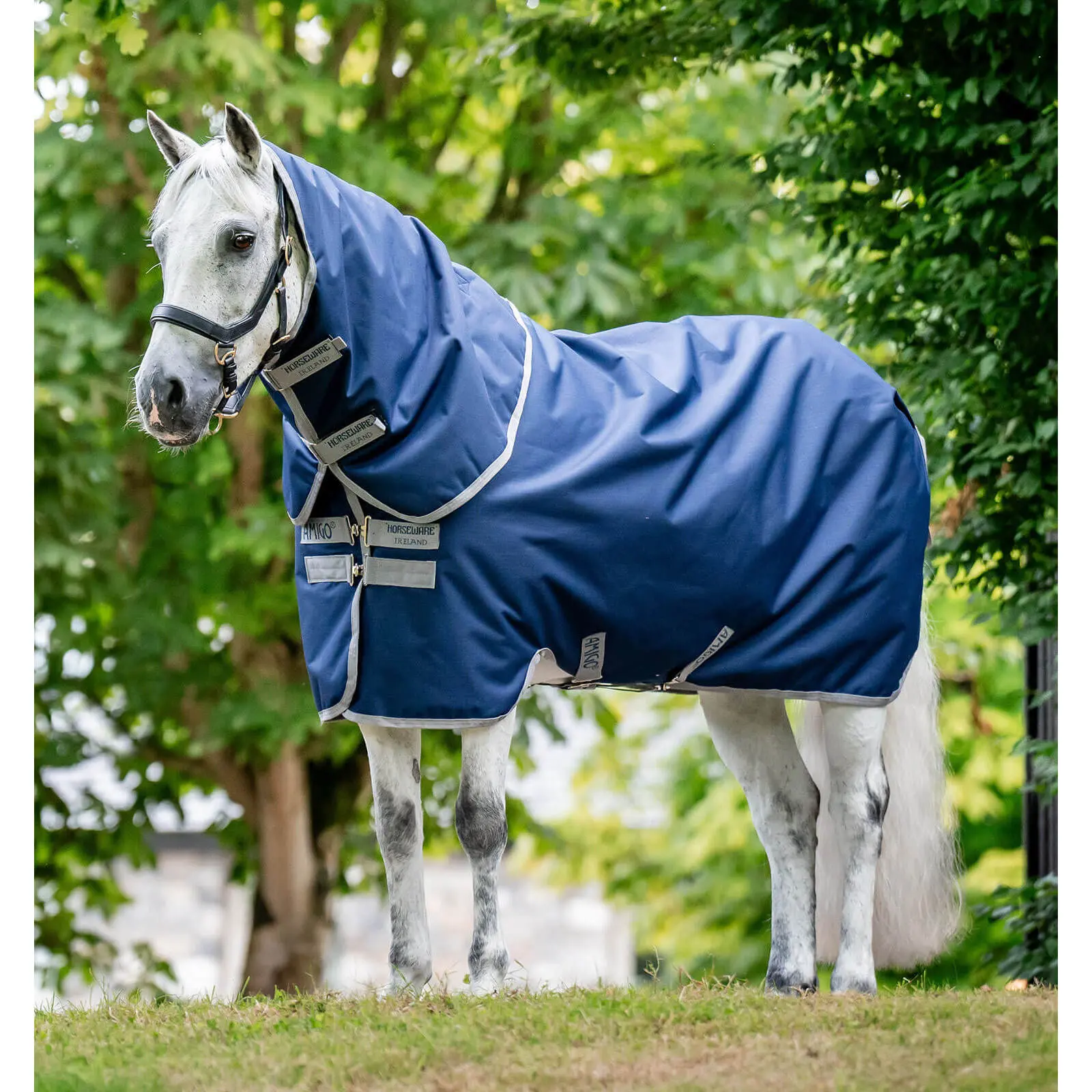 Couverture d'extérieur pour cheval avec couvre-cou Horseware Amigo Ripstop 900D Plus Turnout 200g