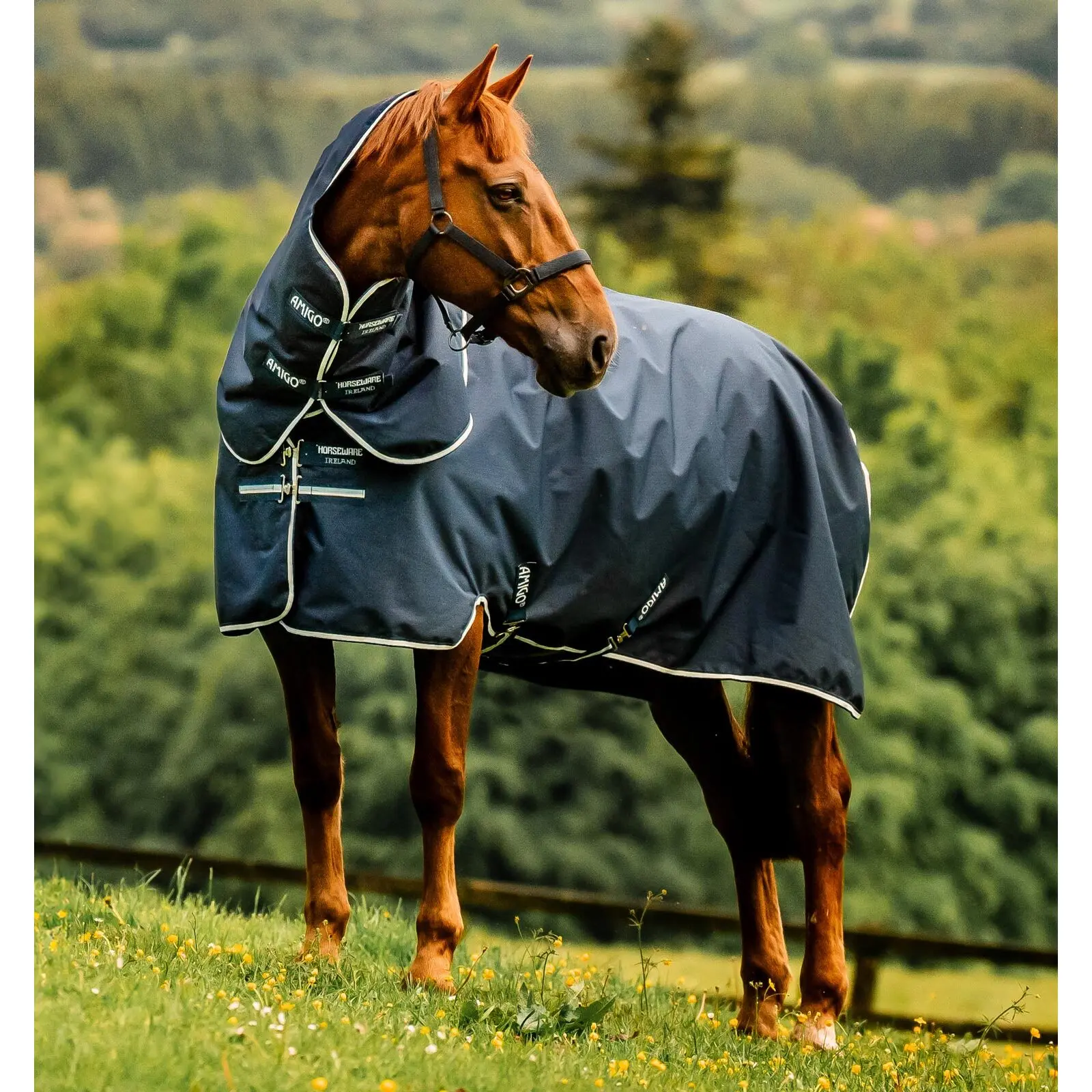 Meilleurs prix pour Couverture d'extérieur pour poney Horseware Amigo Ripstop 900D Plus 200g