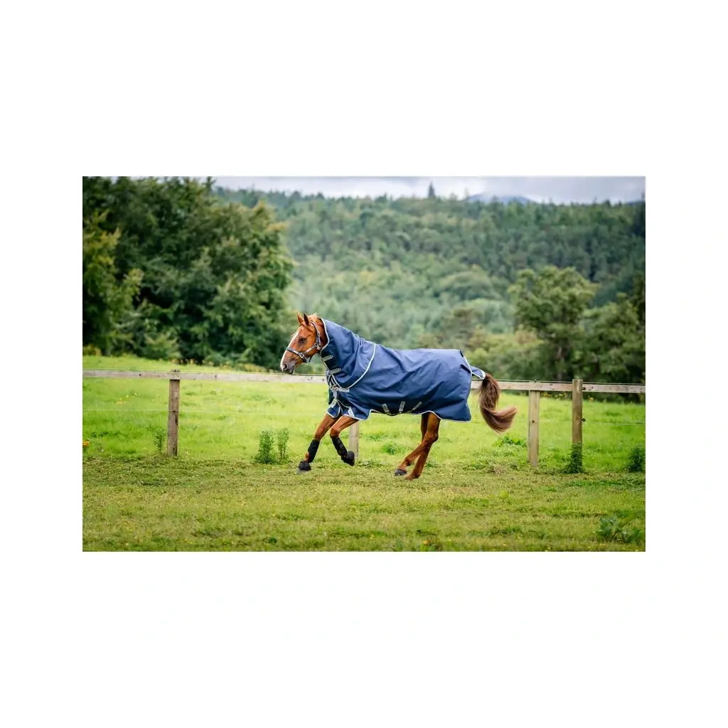 Comparer les prix de Couverture d'extérieur pour cheval avec couvre-cou Horseware Amigo 1200D 100g
