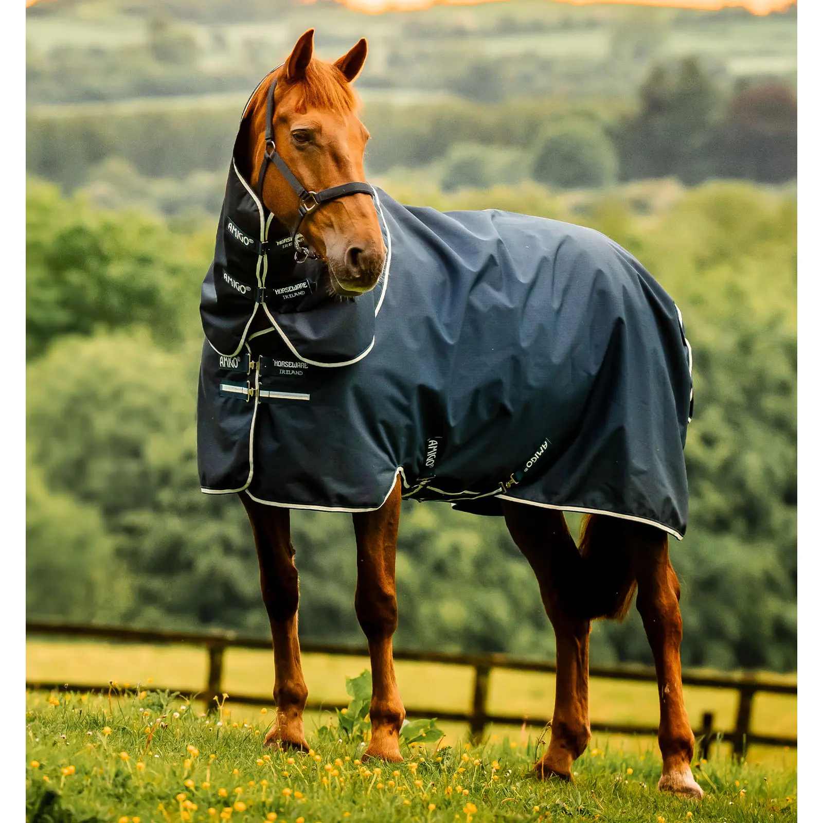Couverture d'extérieur pour poney Horseware Amigo Ripstop 900D Plus 0g