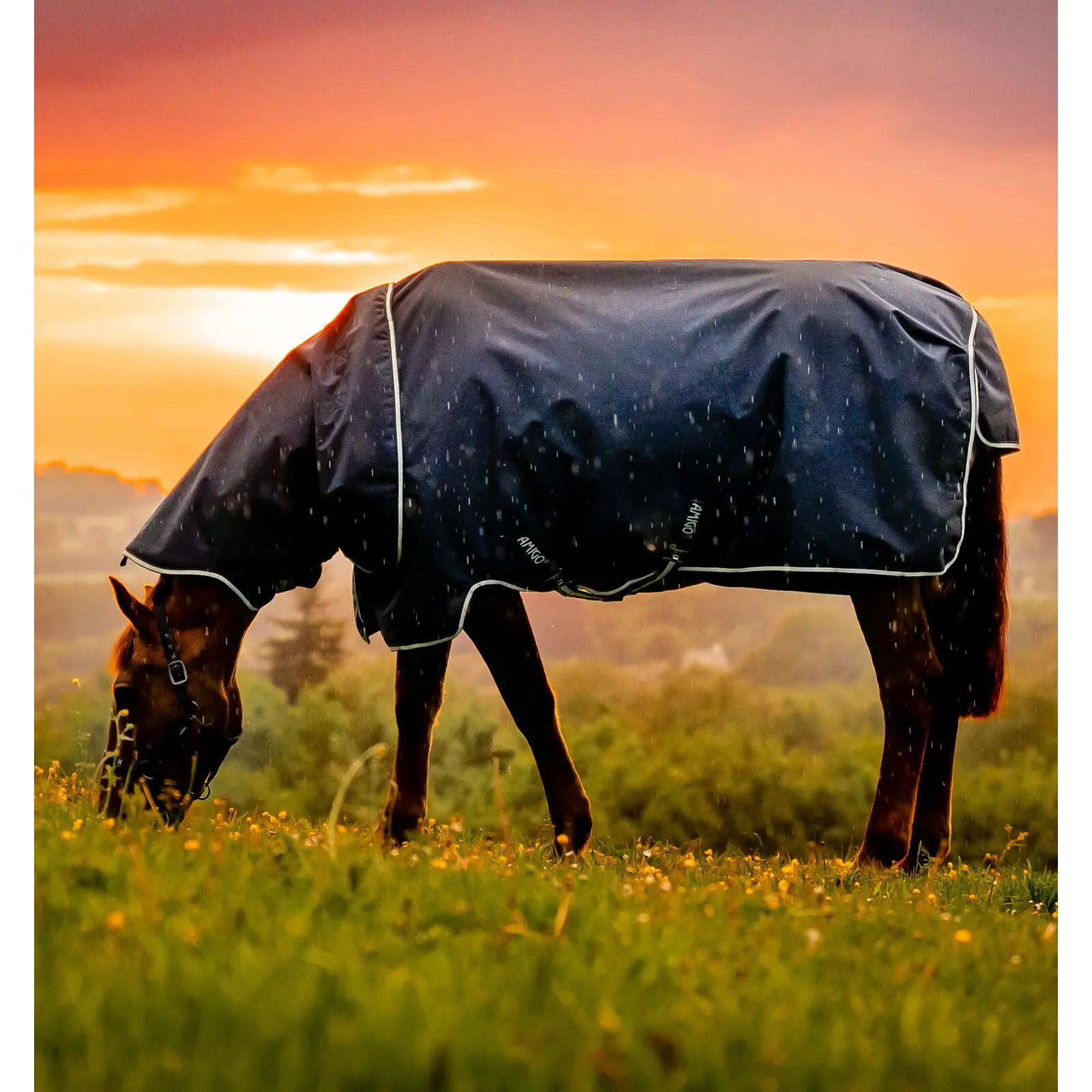Meilleurs prix pour Couverture d'extérieur pour poney Horseware Amigo Ripstop 900D Plus 100g