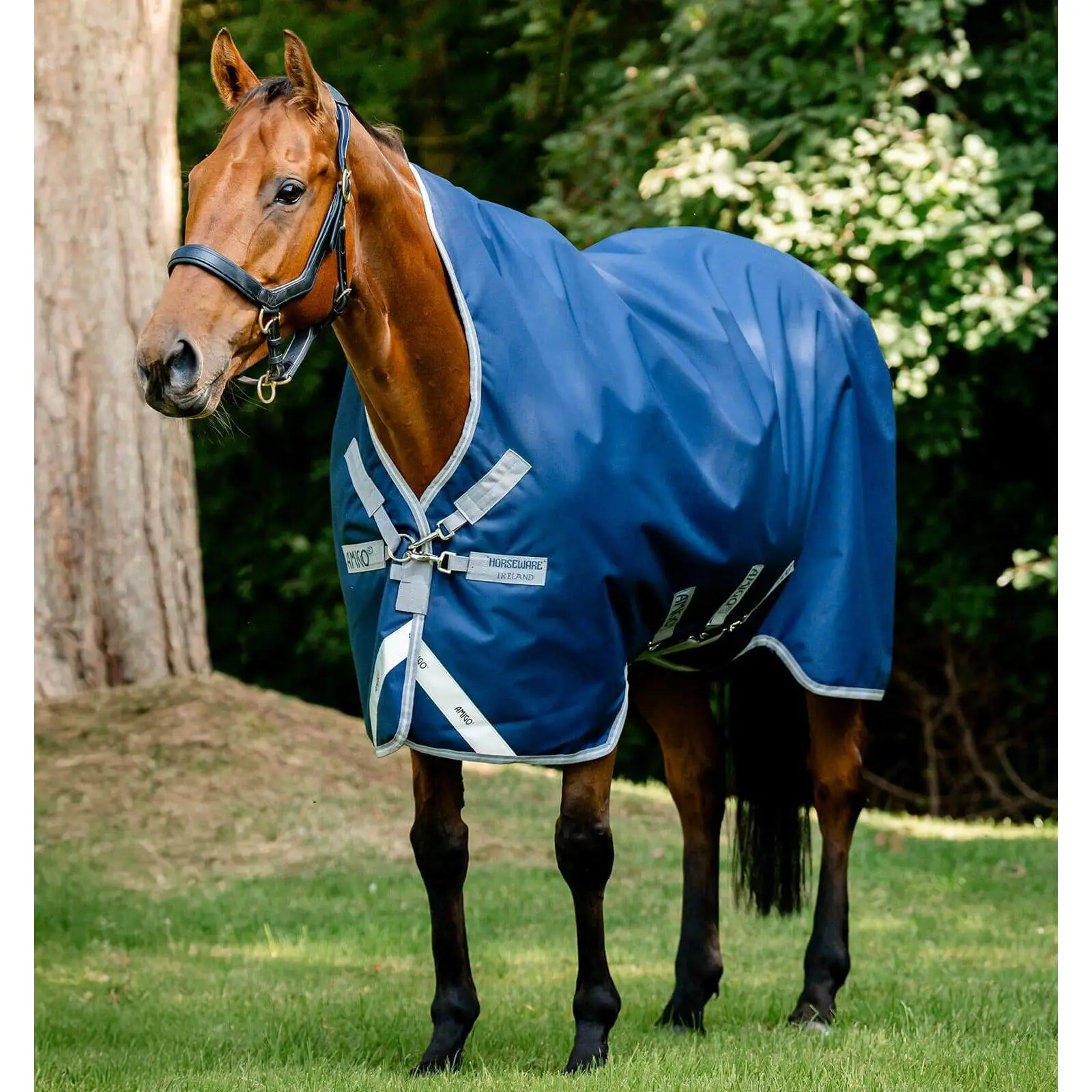 Meilleurs prix pour Couverture d'extérieur pour cheval imperméable Horseware Amigo 1200D Wug Turnout 0g