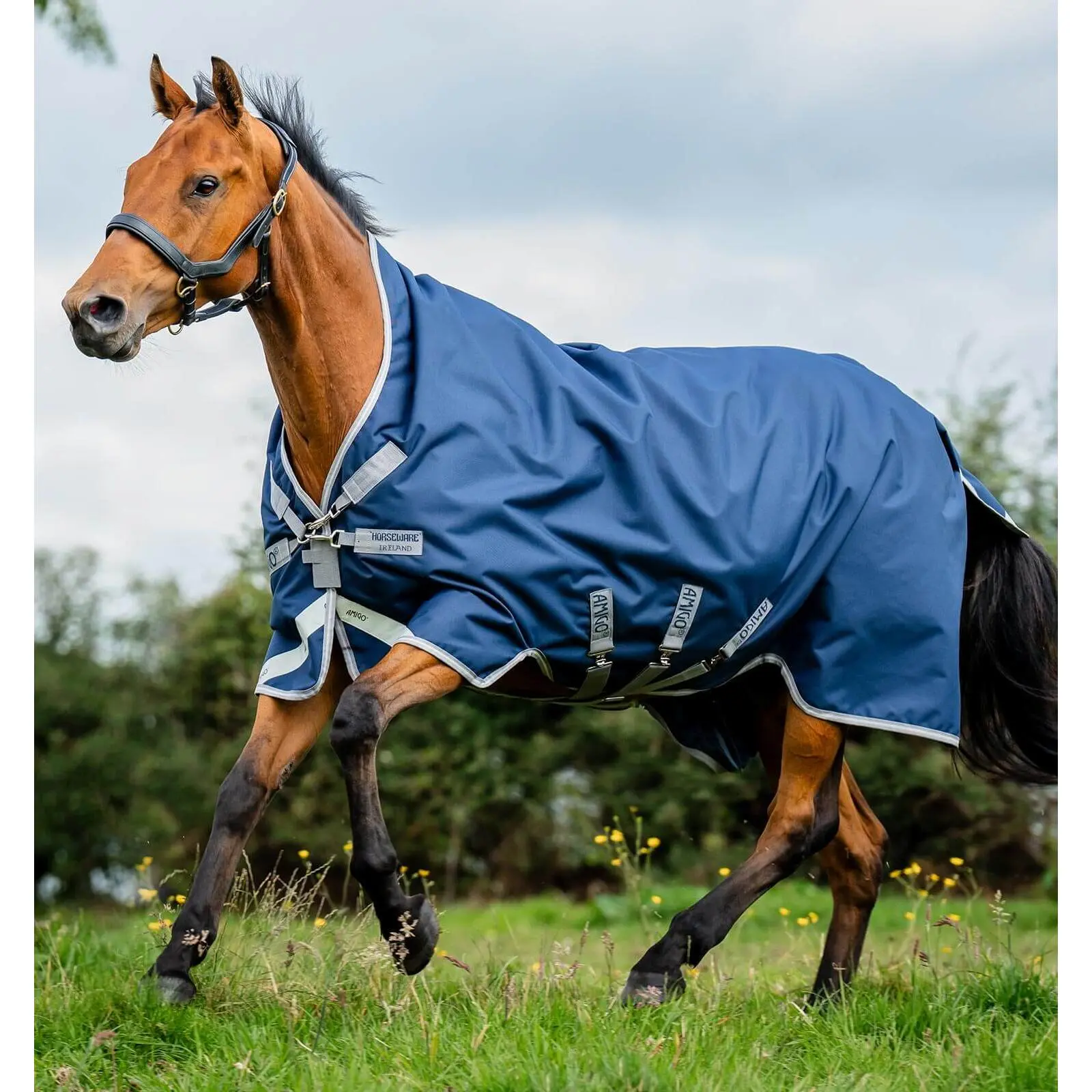 Comparer les prix de Couverture d'extérieur pour cheval Horseware Amigo 1200D Wug Turnout 400g