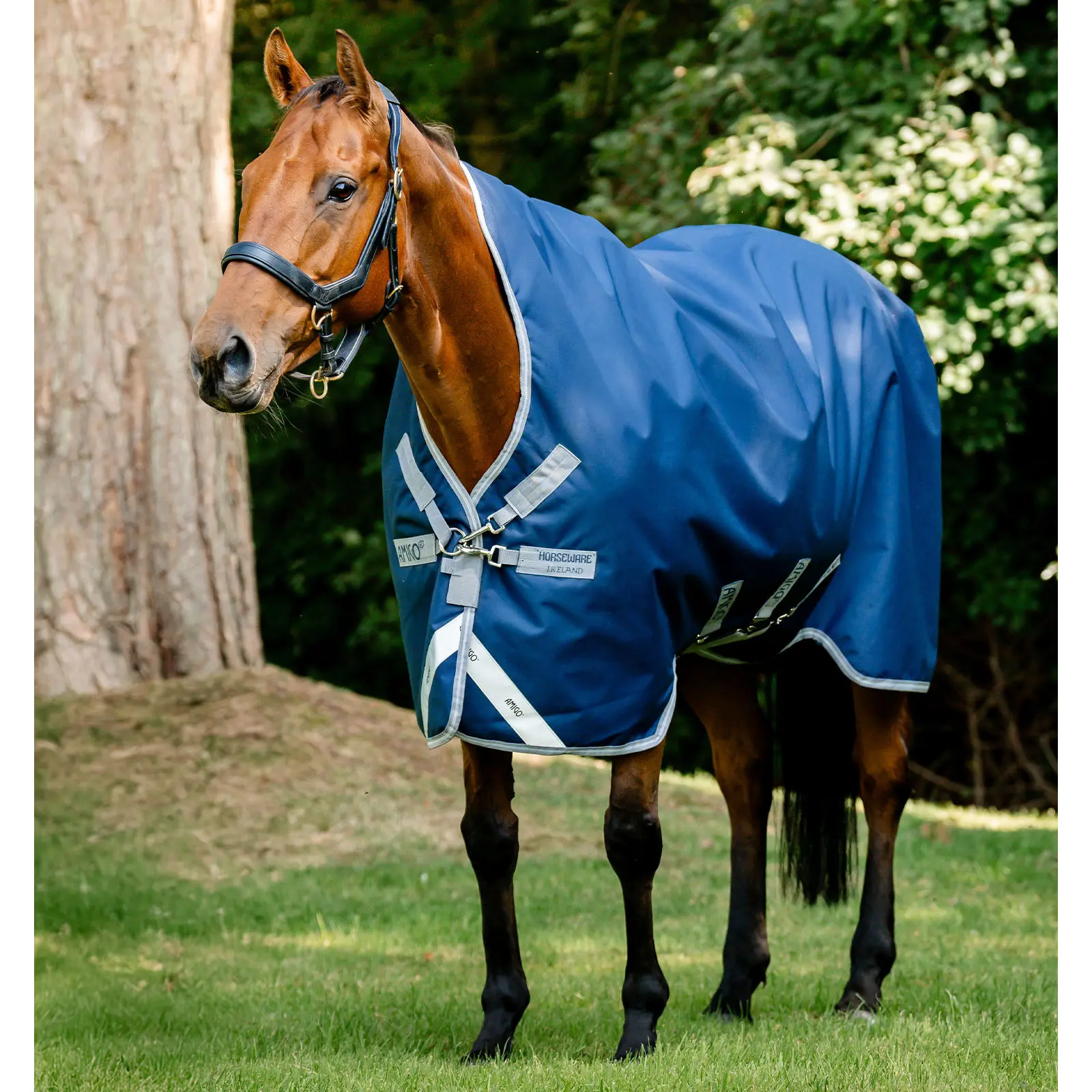 Couverture d'extérieur pour cheval Horseware Amigo 1200D wug 150g
