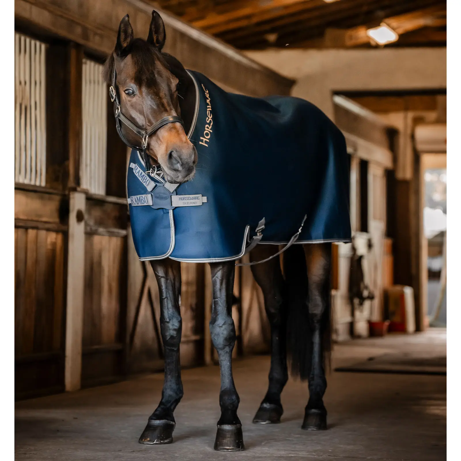 Horseware Bleu Outdoor Blanket Rambo Airmax
