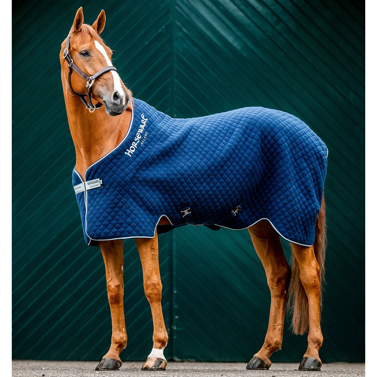Meilleurs prix pour Couverture séchante pour cheval Horseware Autumn Cooler