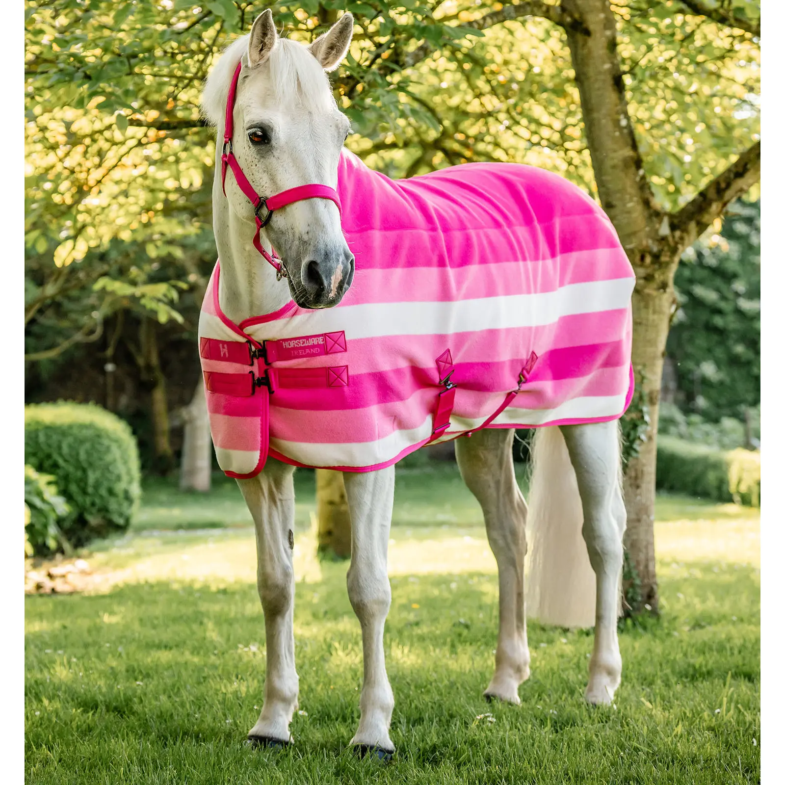 Camicia asciugatrice in pile per pony Horseware Newmarket