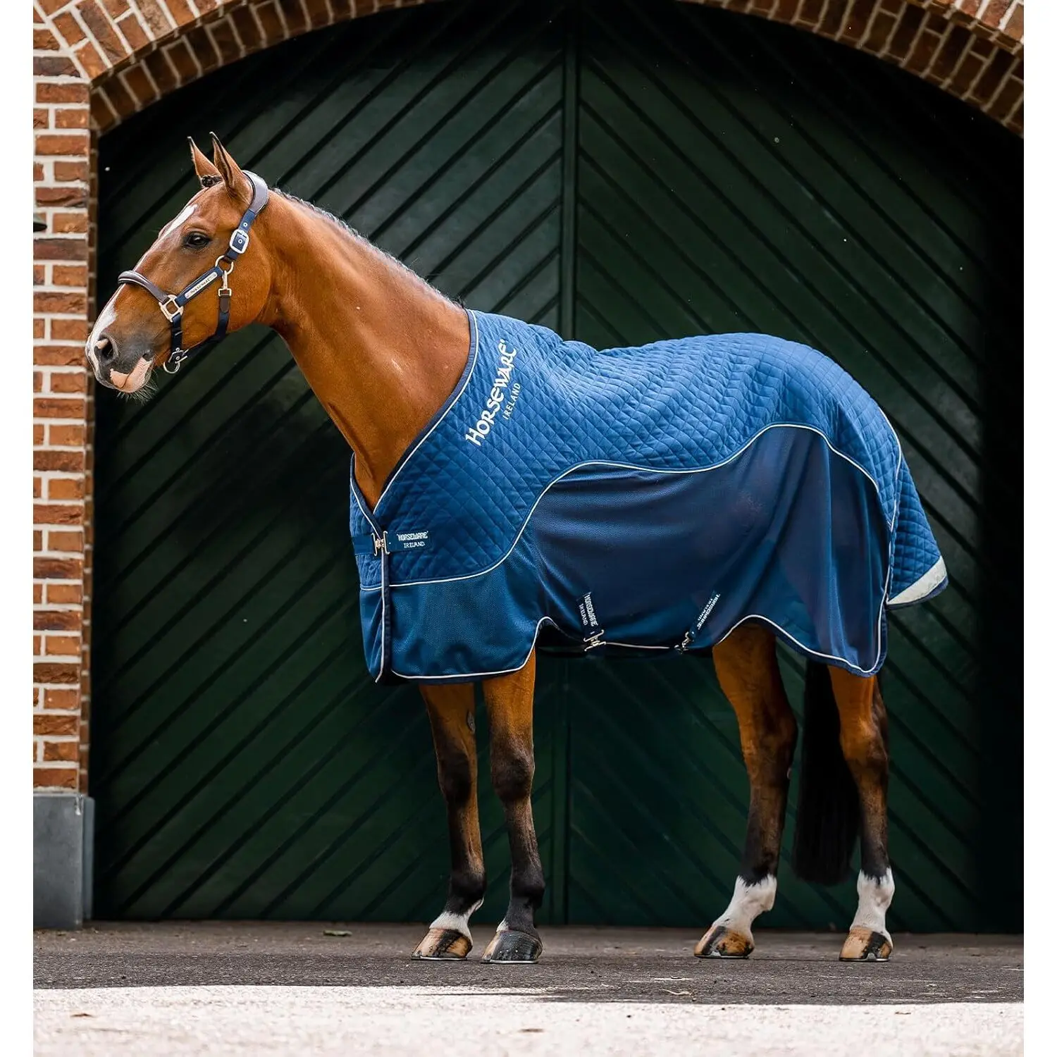 Couverture de marcheur pour cheval imperméable polaire Horseware Signature 50g
