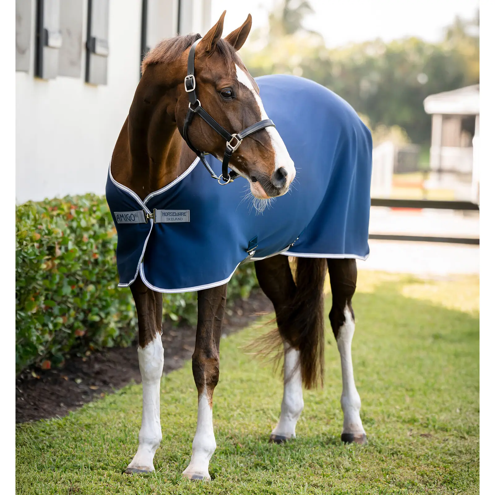 Meilleurs prix pour Couverture d'extérieur pour cheval jersey Horseware Amigo Cooler