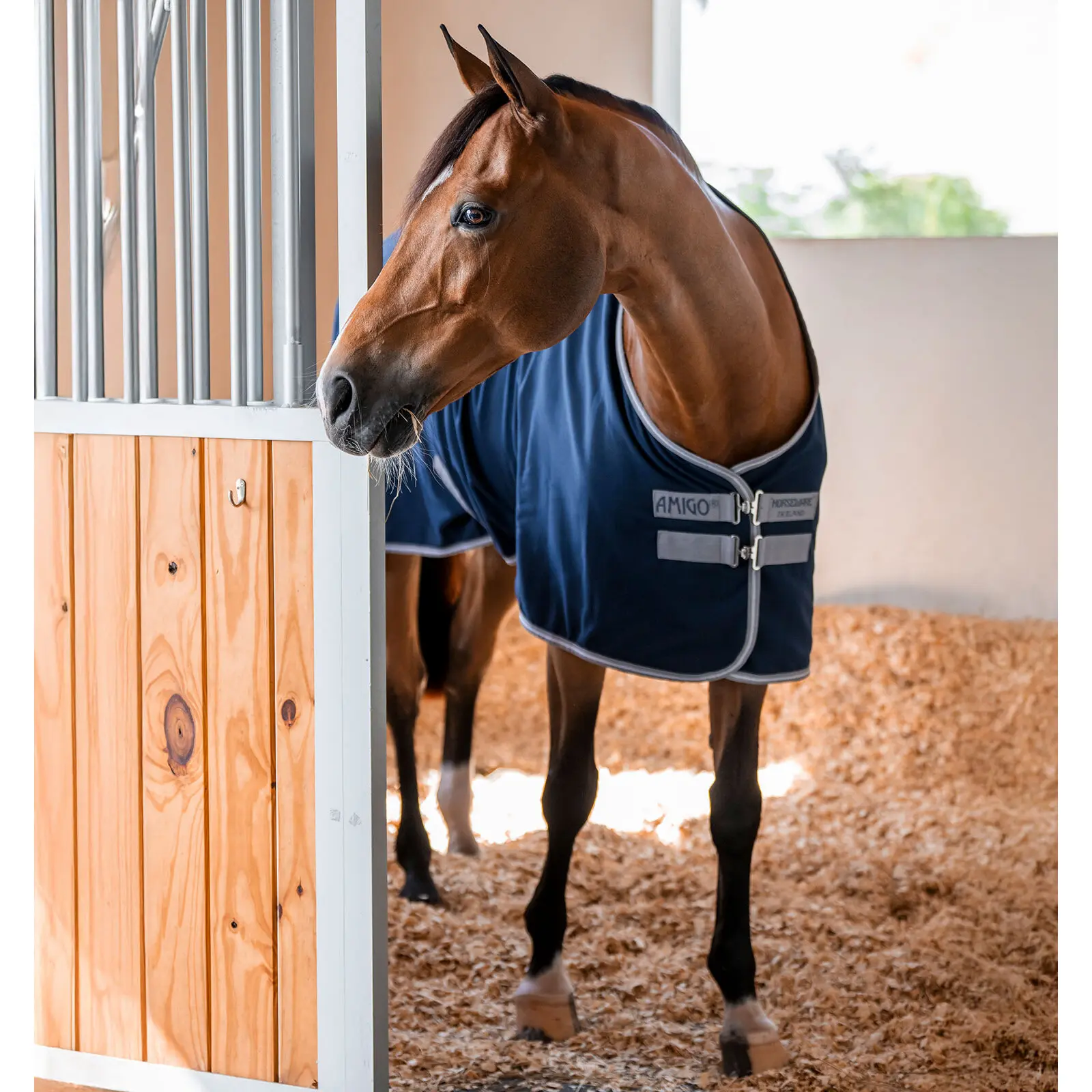 Coperta da box per cavalli Horseware Amigo