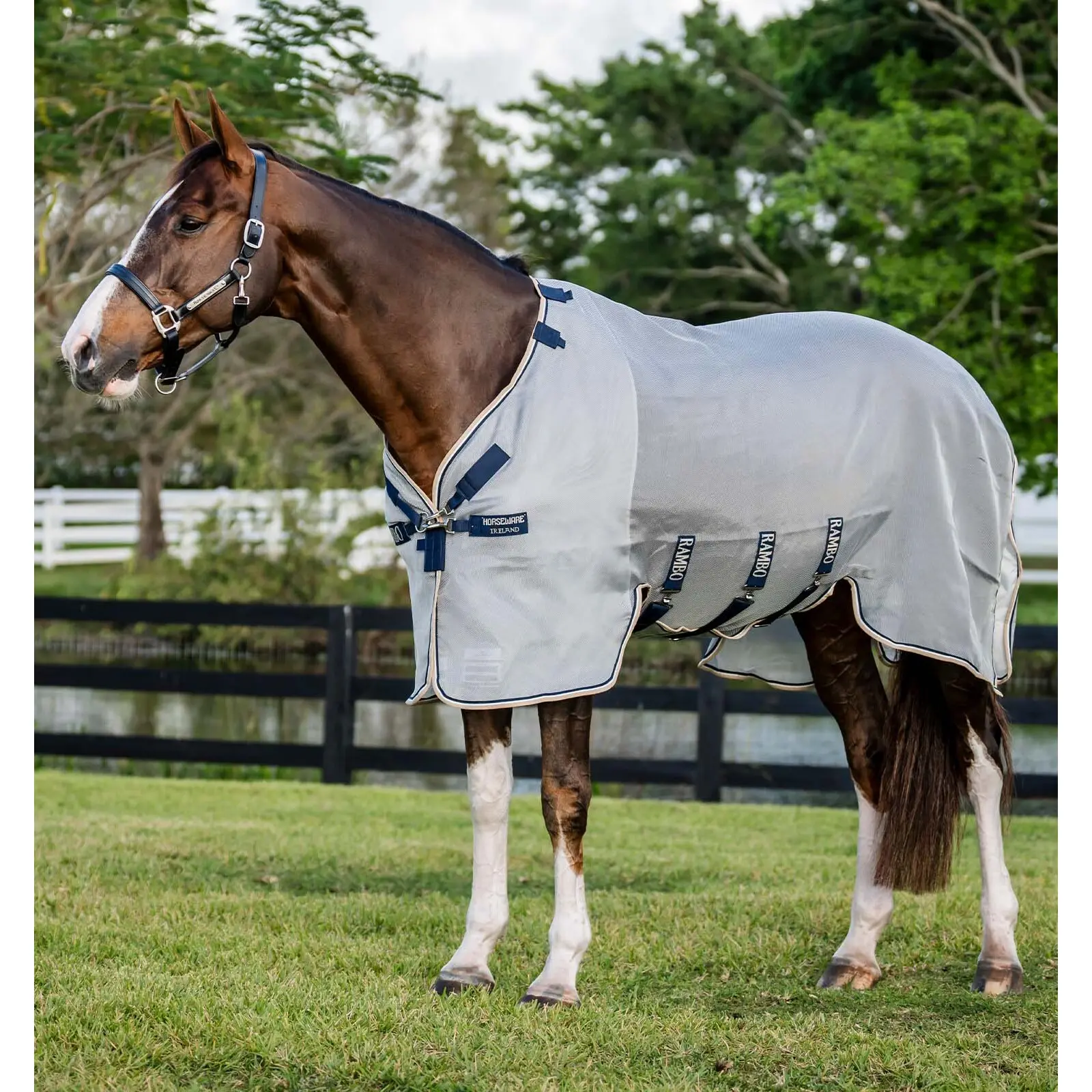 Couverture anti-mouches pour cheval Horseware Rambo