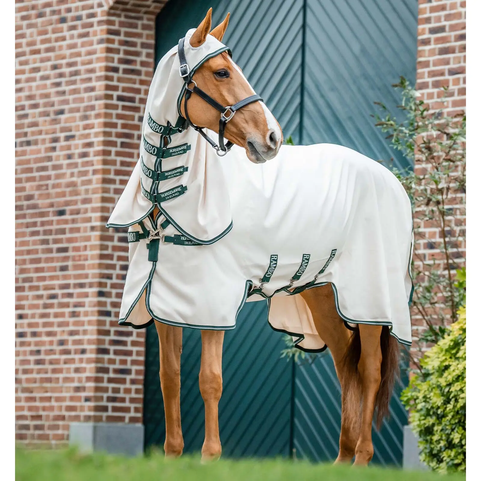 Couverture anti-UV pour cheval Horseware Rambo