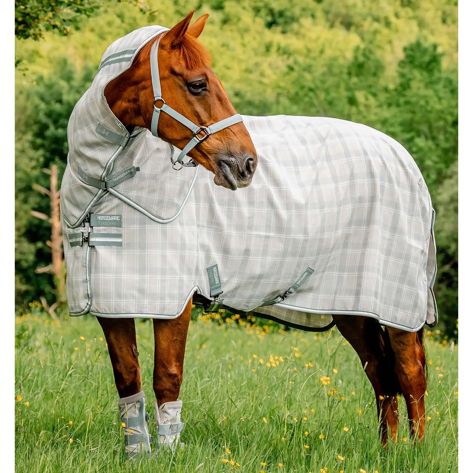 Chemise anti-mouches pour cheval Horseware Newmarket Plus