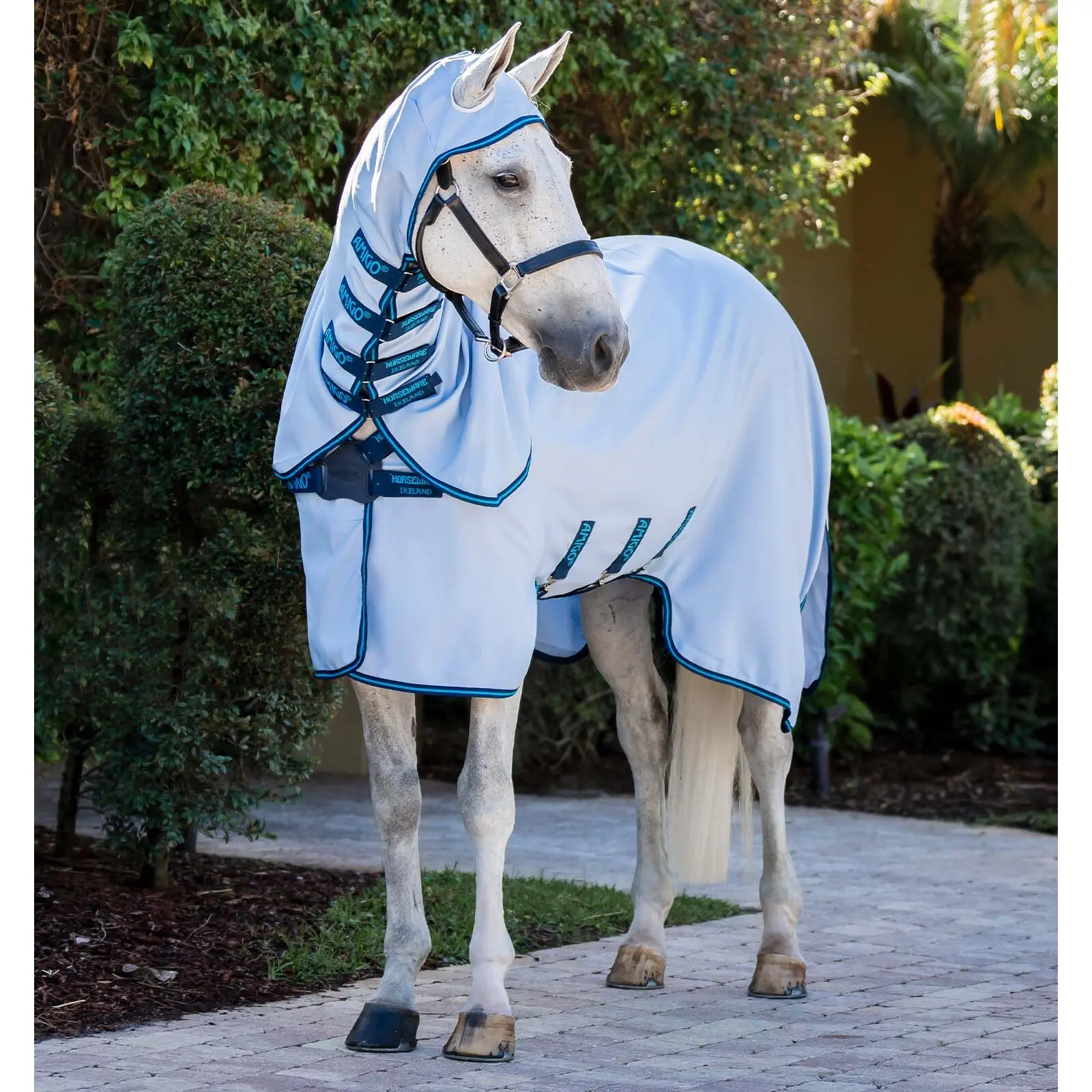 Comparer les prix de Couverture anti-insecte/été pour cheval Horseware Amigo Ripstop