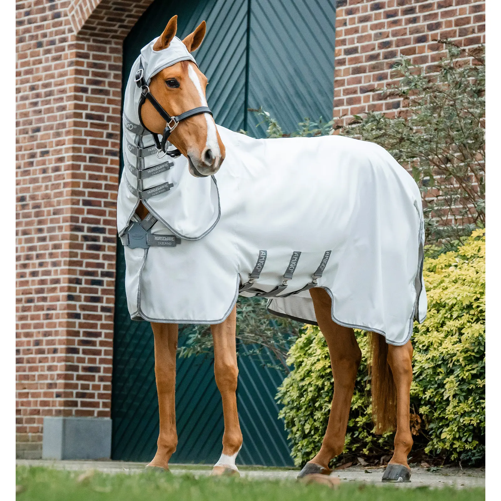 Couverture anti-insecte/été pour cheval Horseware Amigo Ripstop