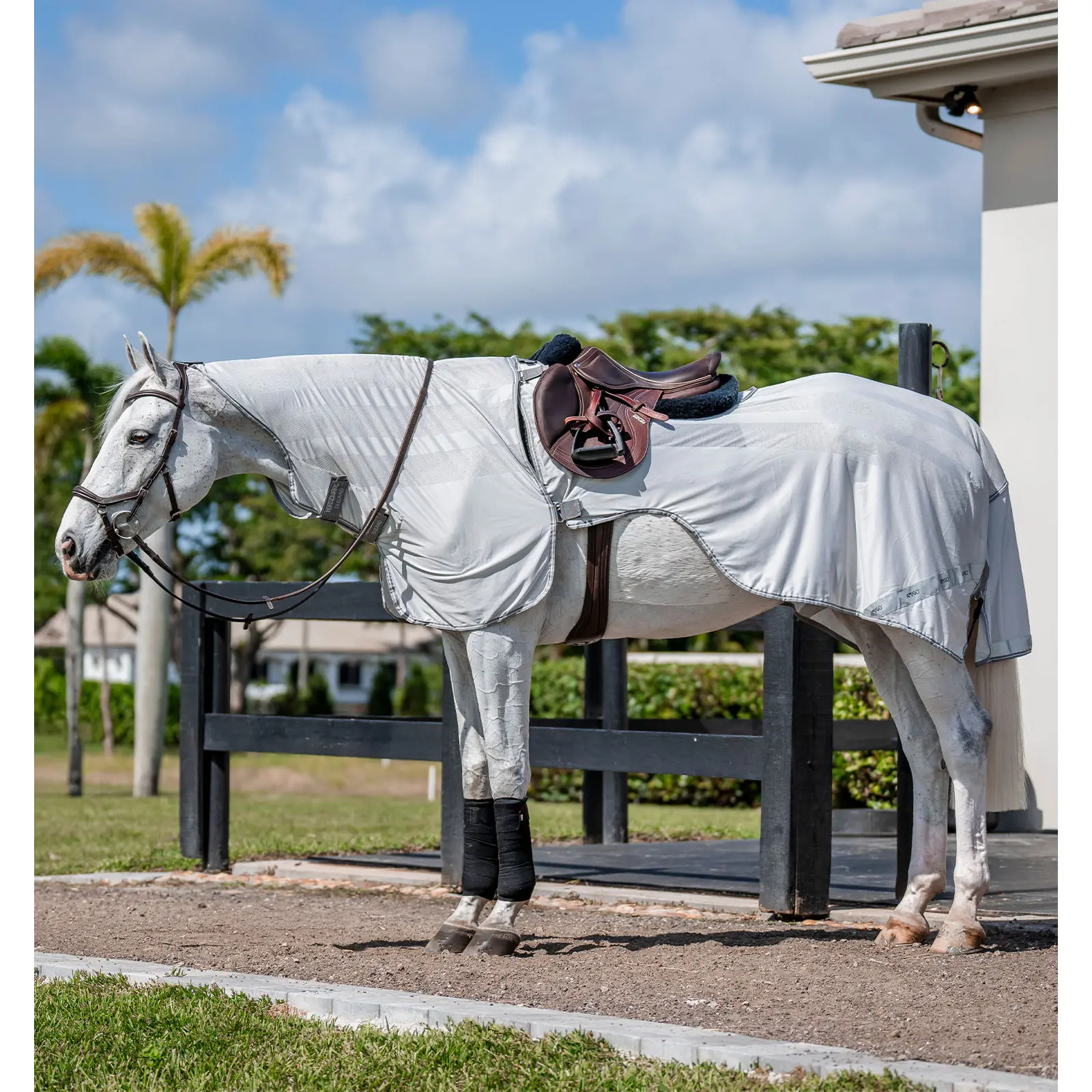 Couverture d'extérieur pour cheval Horseware Amigo Flyrider