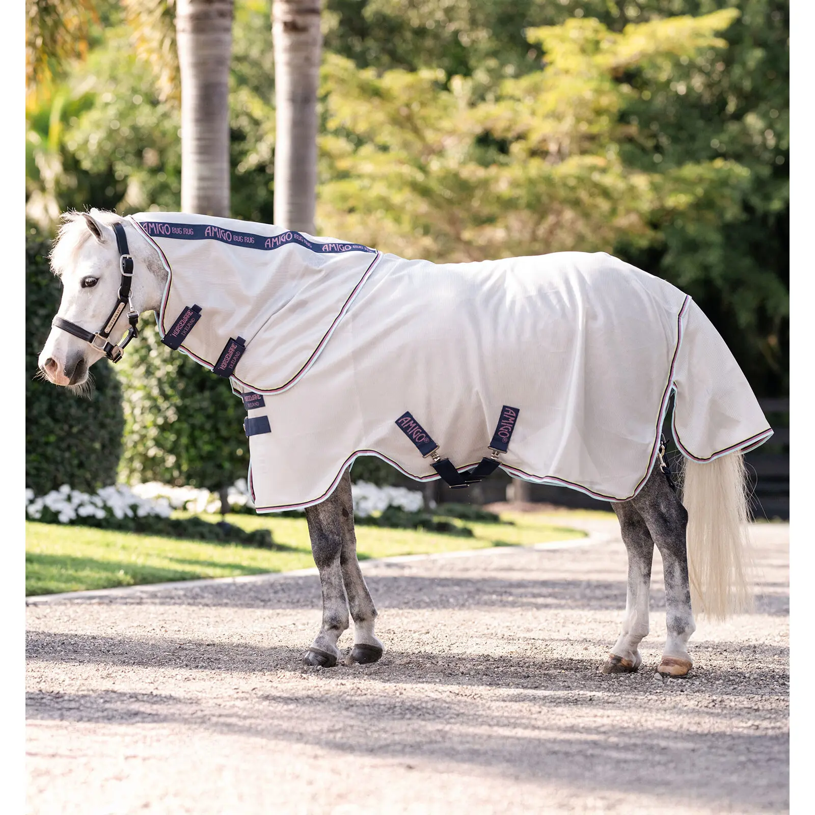Horseware Bleu Outdoor Pony Blanket Amigo Bug