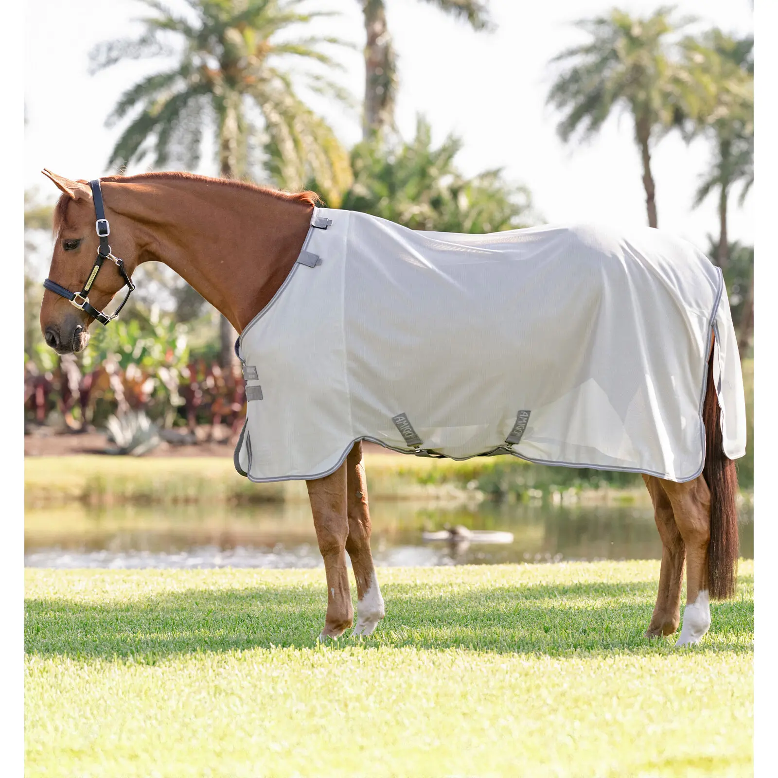 Horseware Argenté Fly Blanket Amigo Bug