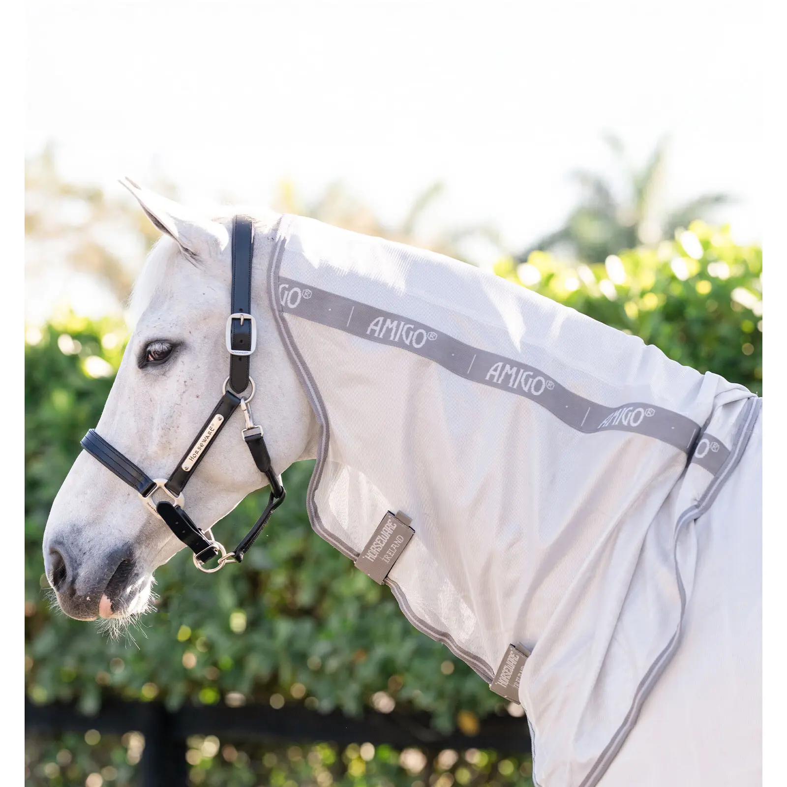 Comparer les prix de Couverture d'extérieur pour cheval Horseware Amigo integrated Fly Sheet