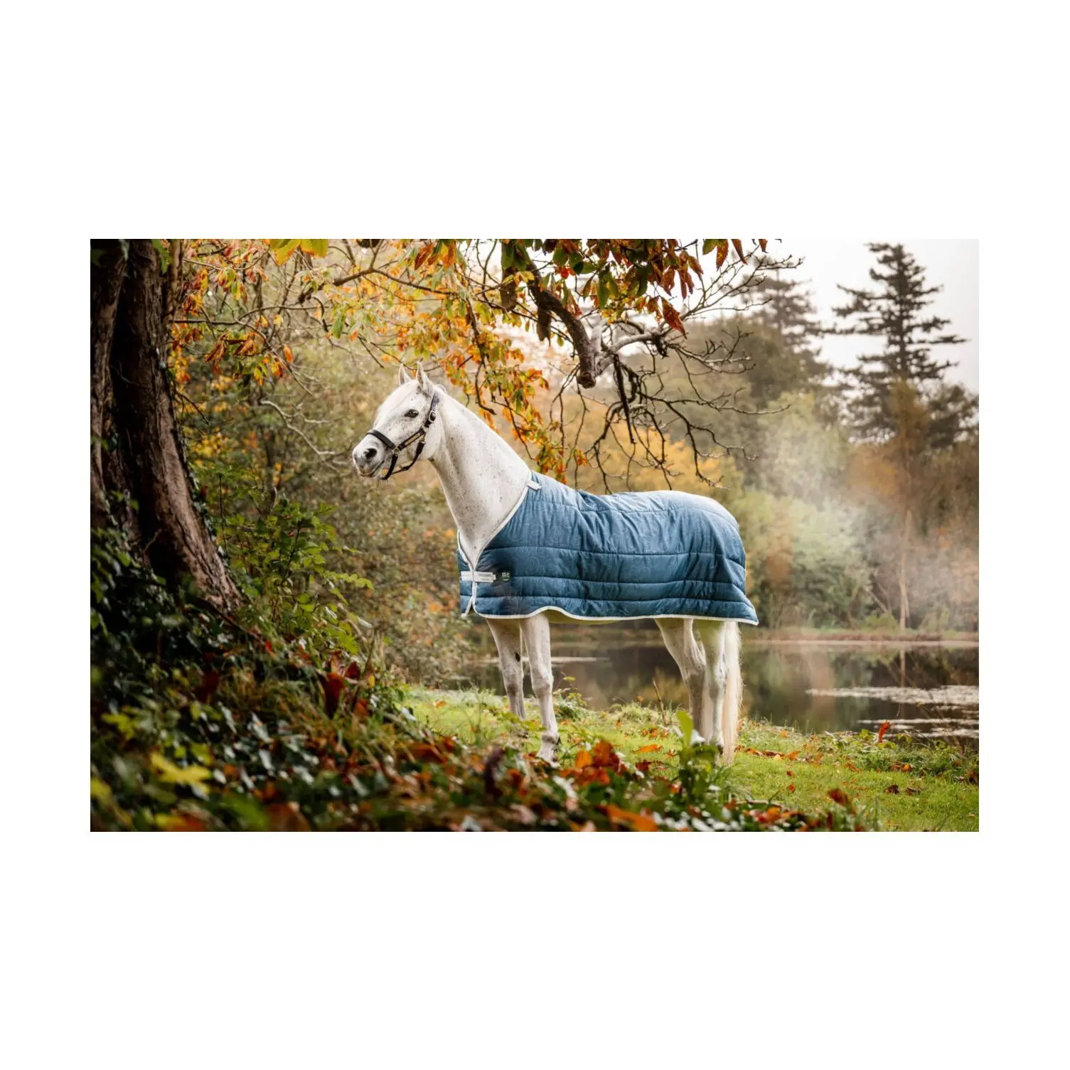 Meilleurs prix pour Sous-couverture pour cheval Horseware 100g