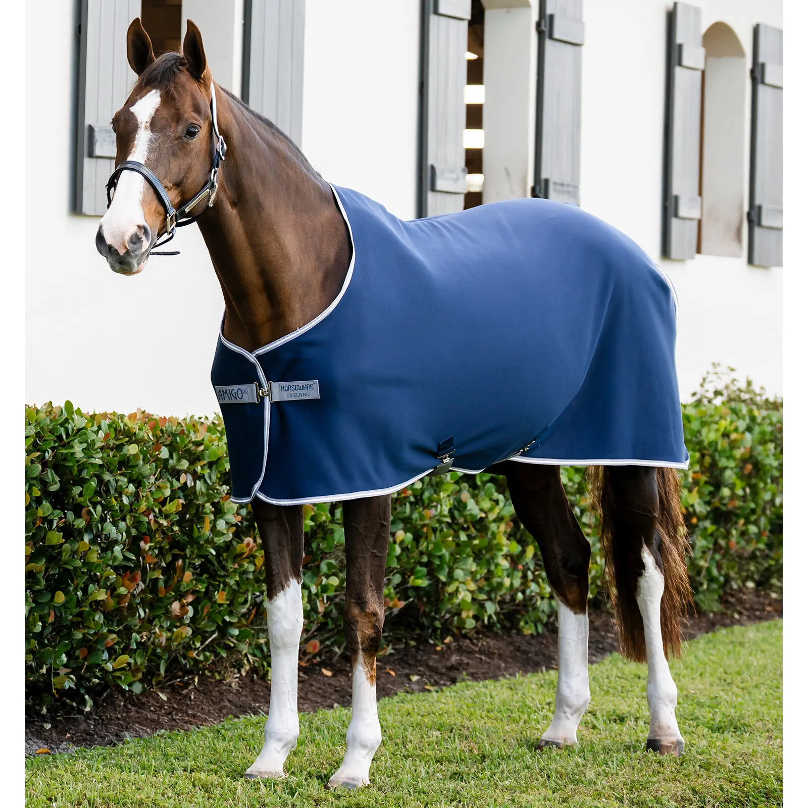 Horseware Bleu Jersey Outdoor Pony Blanket Amigo Cooler