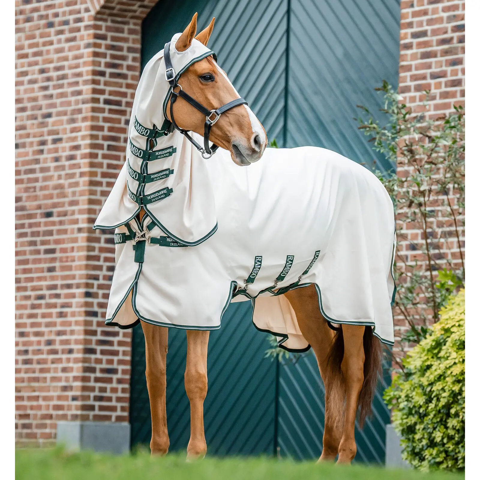 Couverture anti-UV pour poney Horseware Rambo