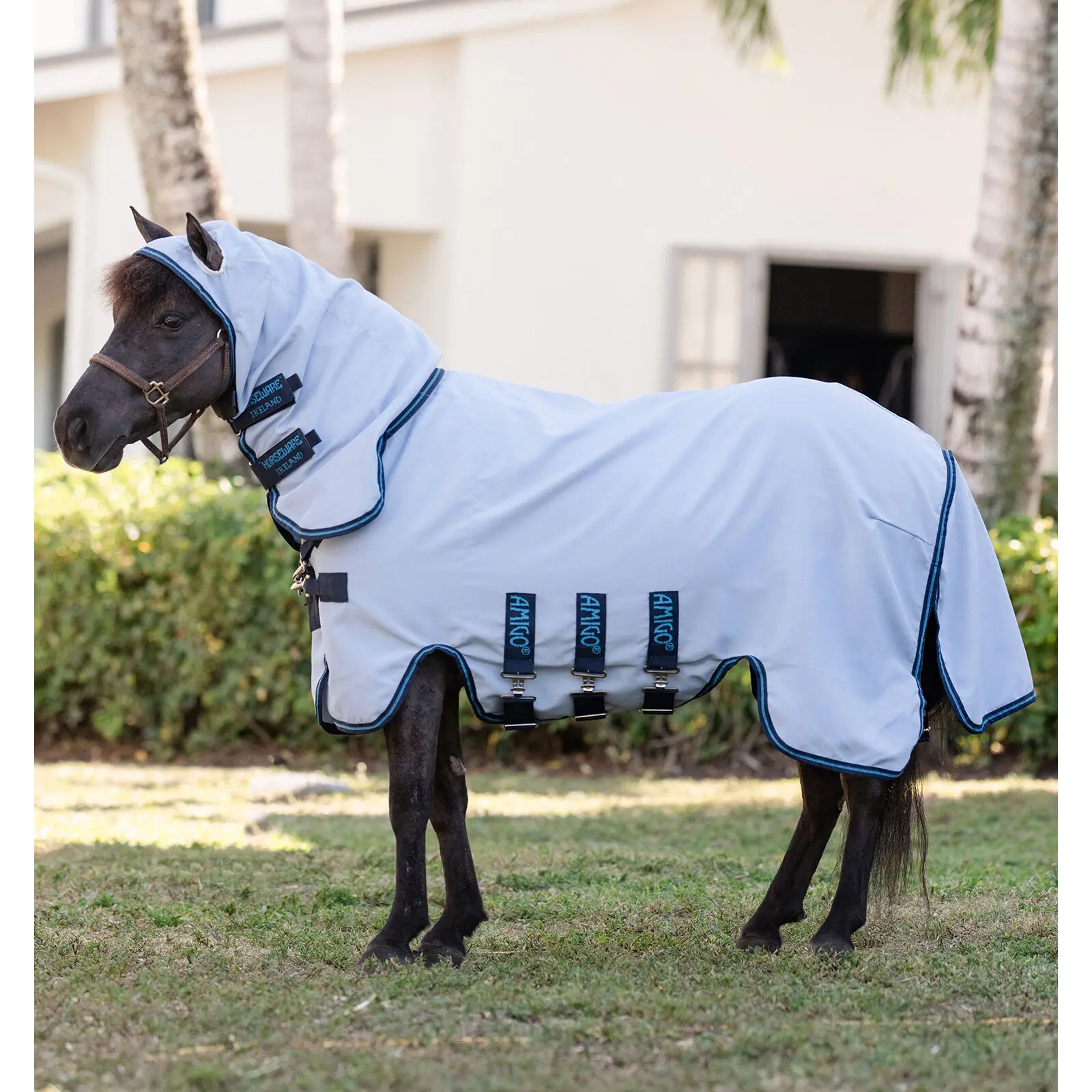 Horseware Bleu Fly Rug For Pony With Neck Cover Amigo