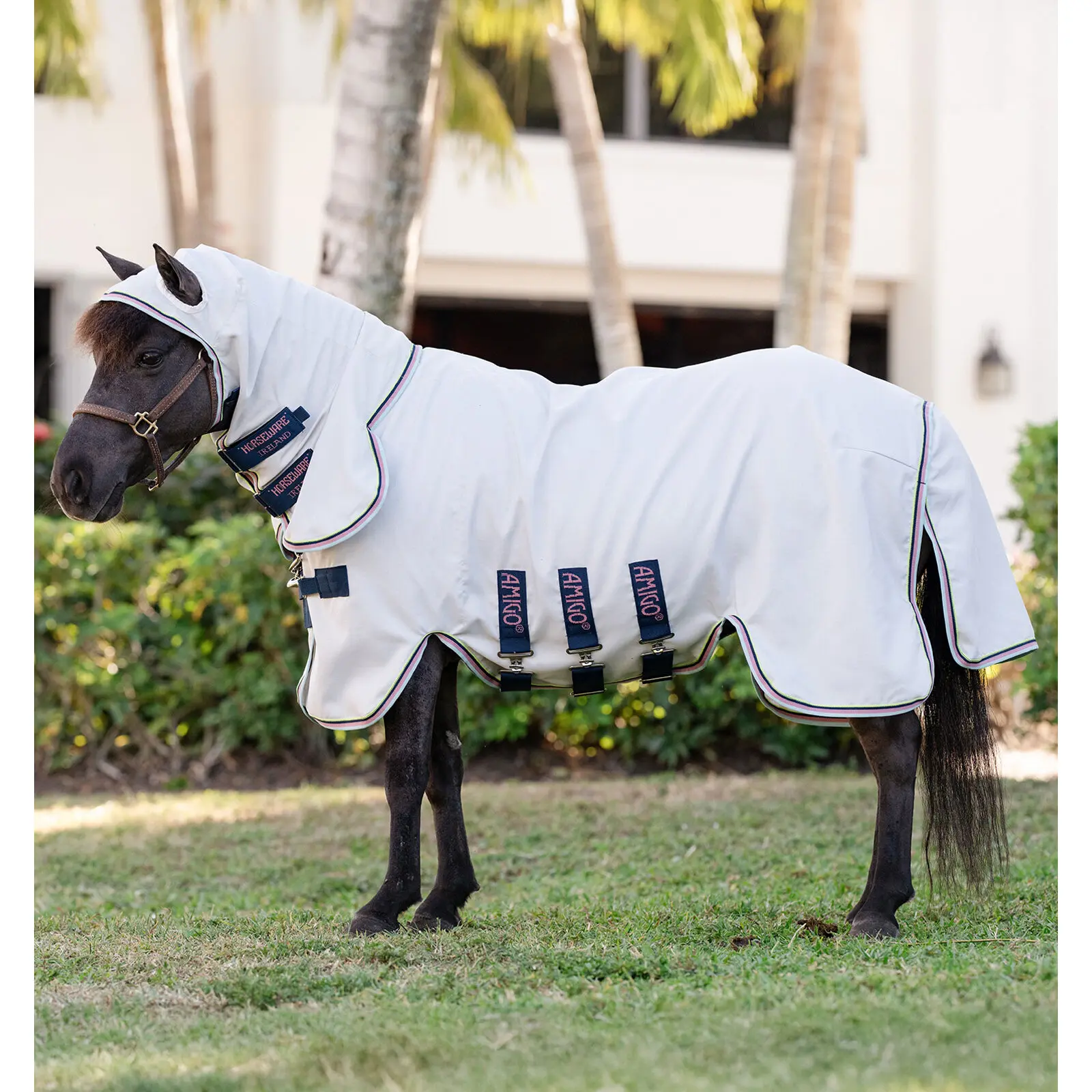 Horseware Blanc Fly Rug For Pony With Neck Cover Amigo