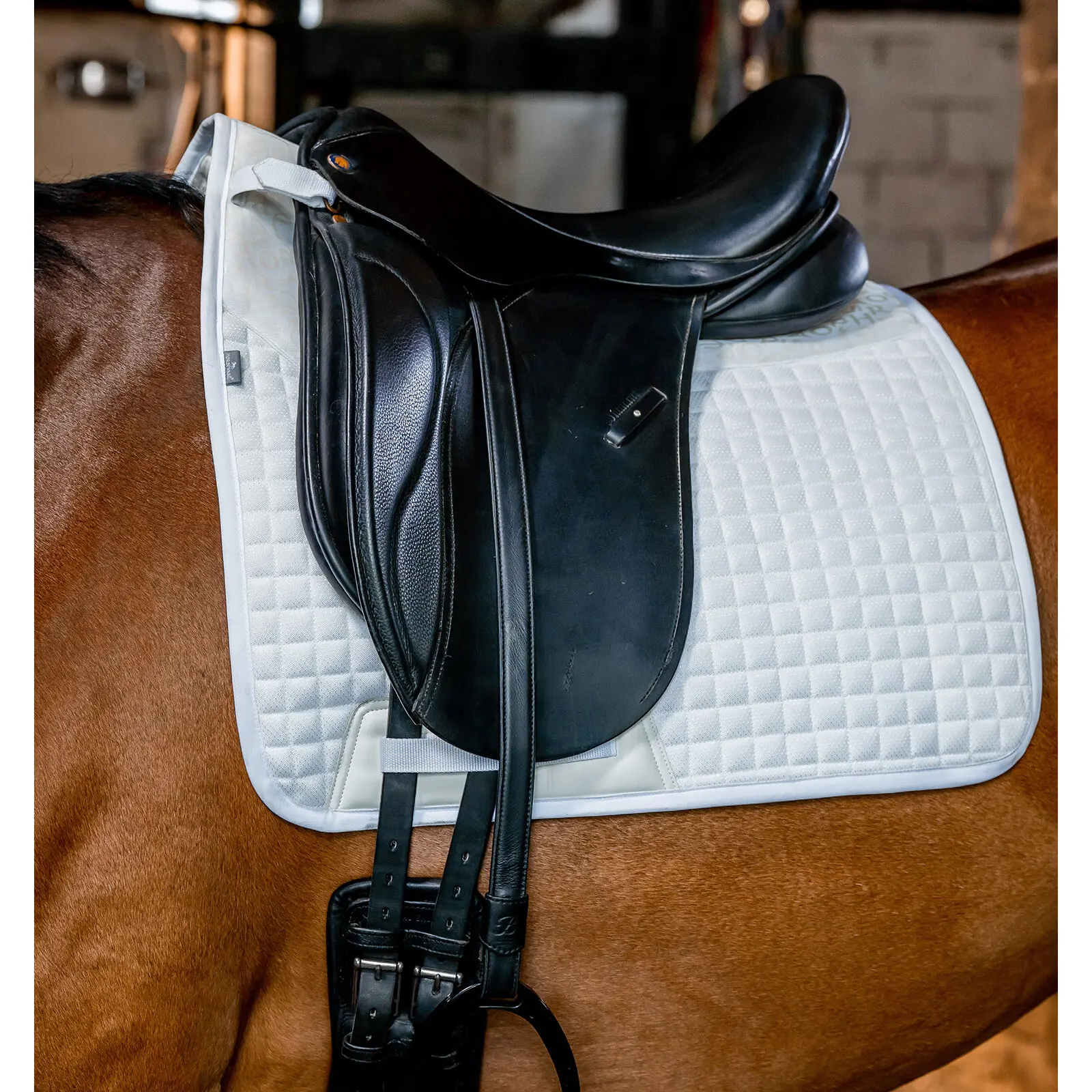 Tapis de dressage pour cheval Horseware Tech Comfort Pad