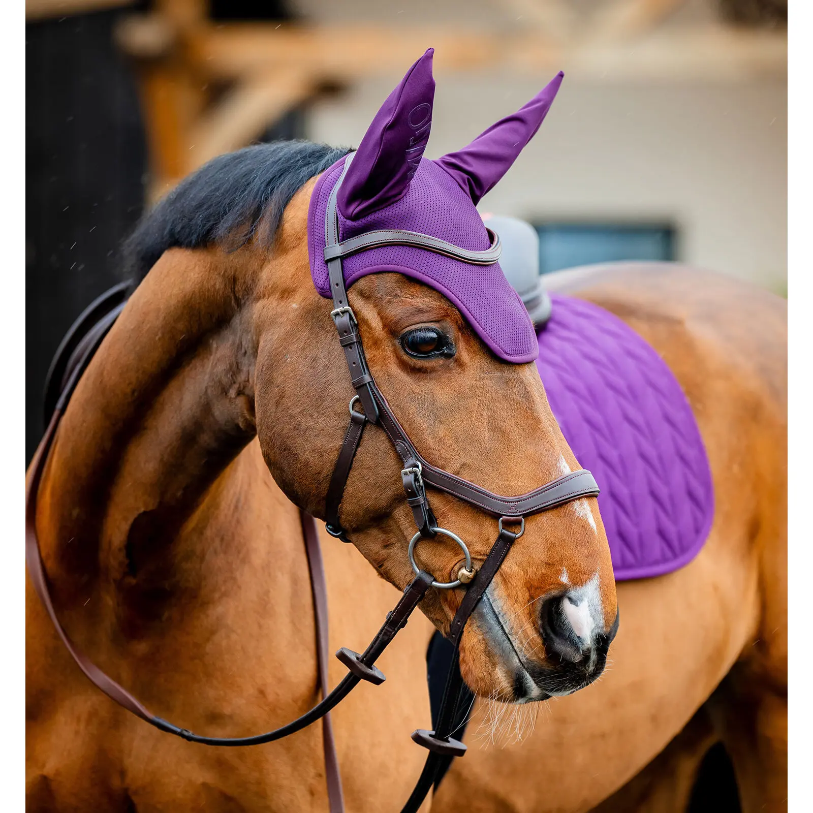 Bonnet anti-mouches pour cheval Horseware Amigo Earnet