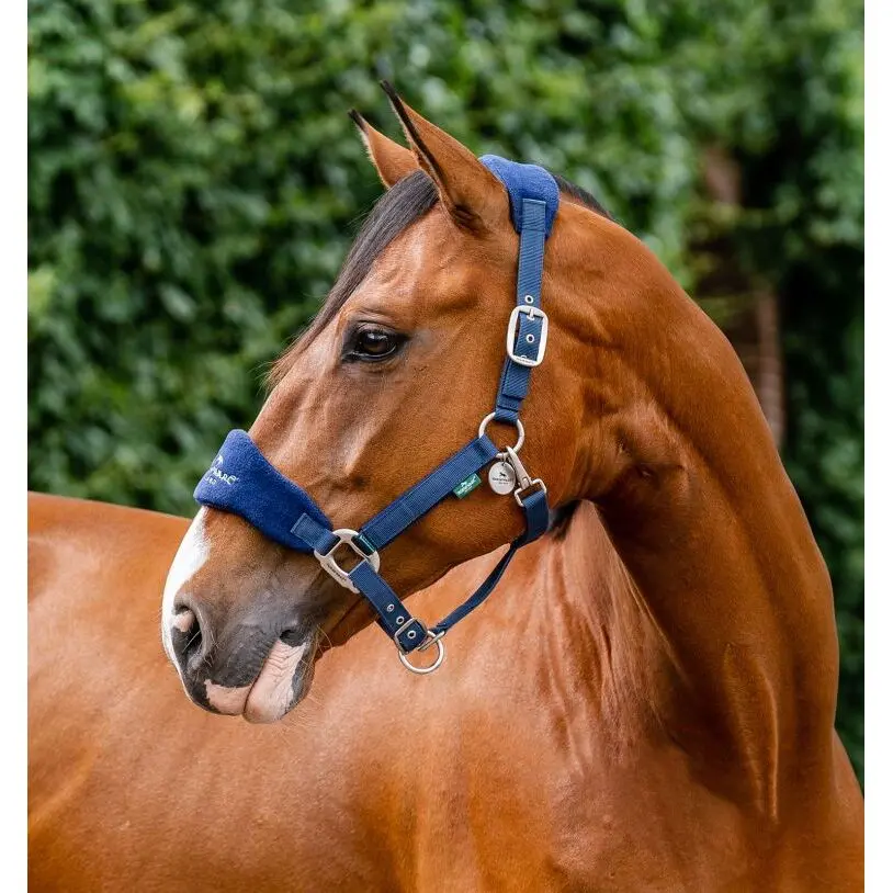Meilleurs prix pour Licol fourrure pour cheval Horseware Signature