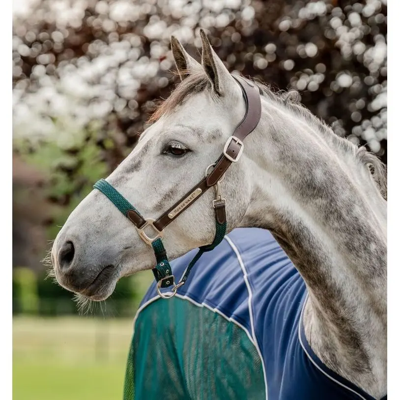 Licol cuir pour cheval Horseware Signature