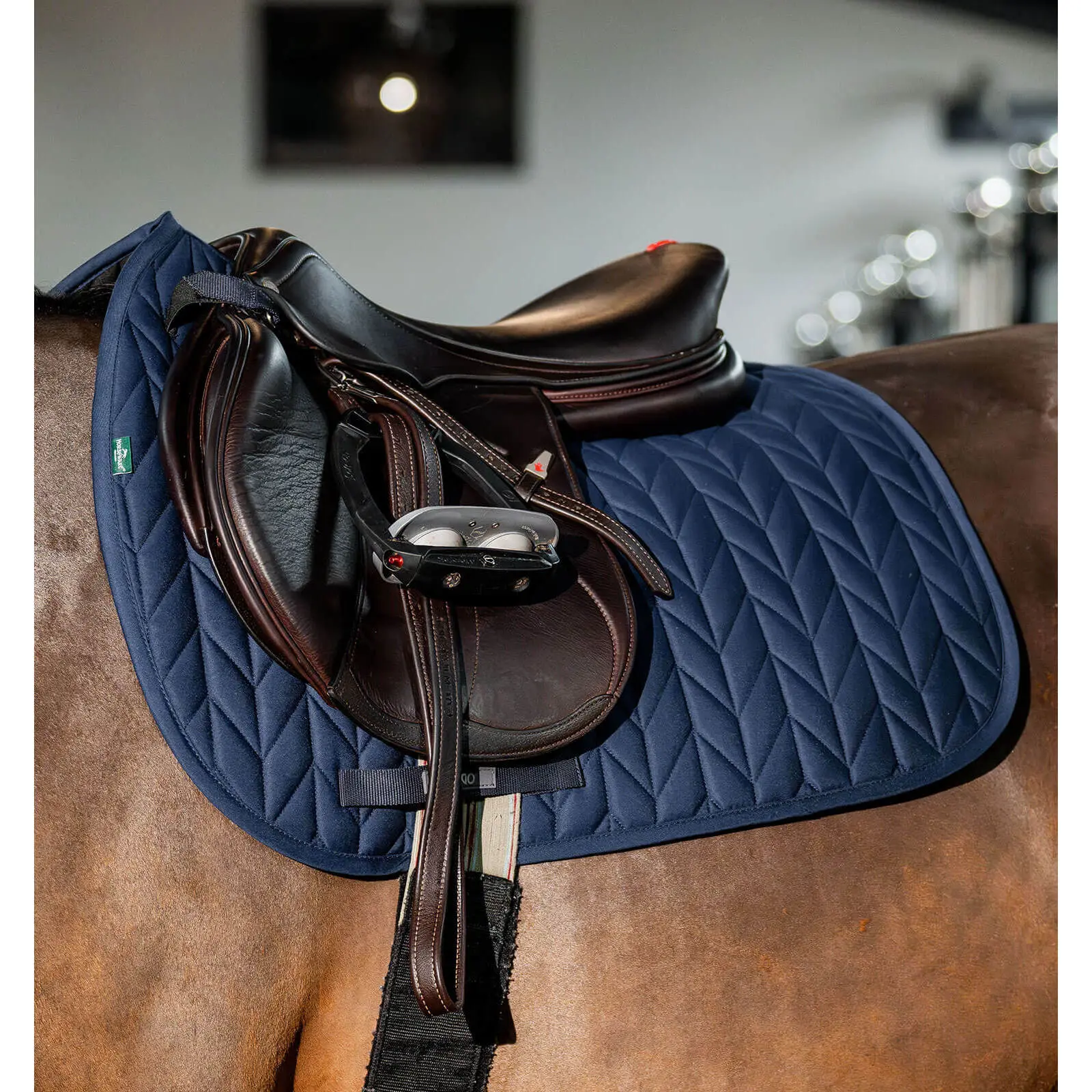 Horseware Bleu Saddle Pad For Horses Amigo Close Contact