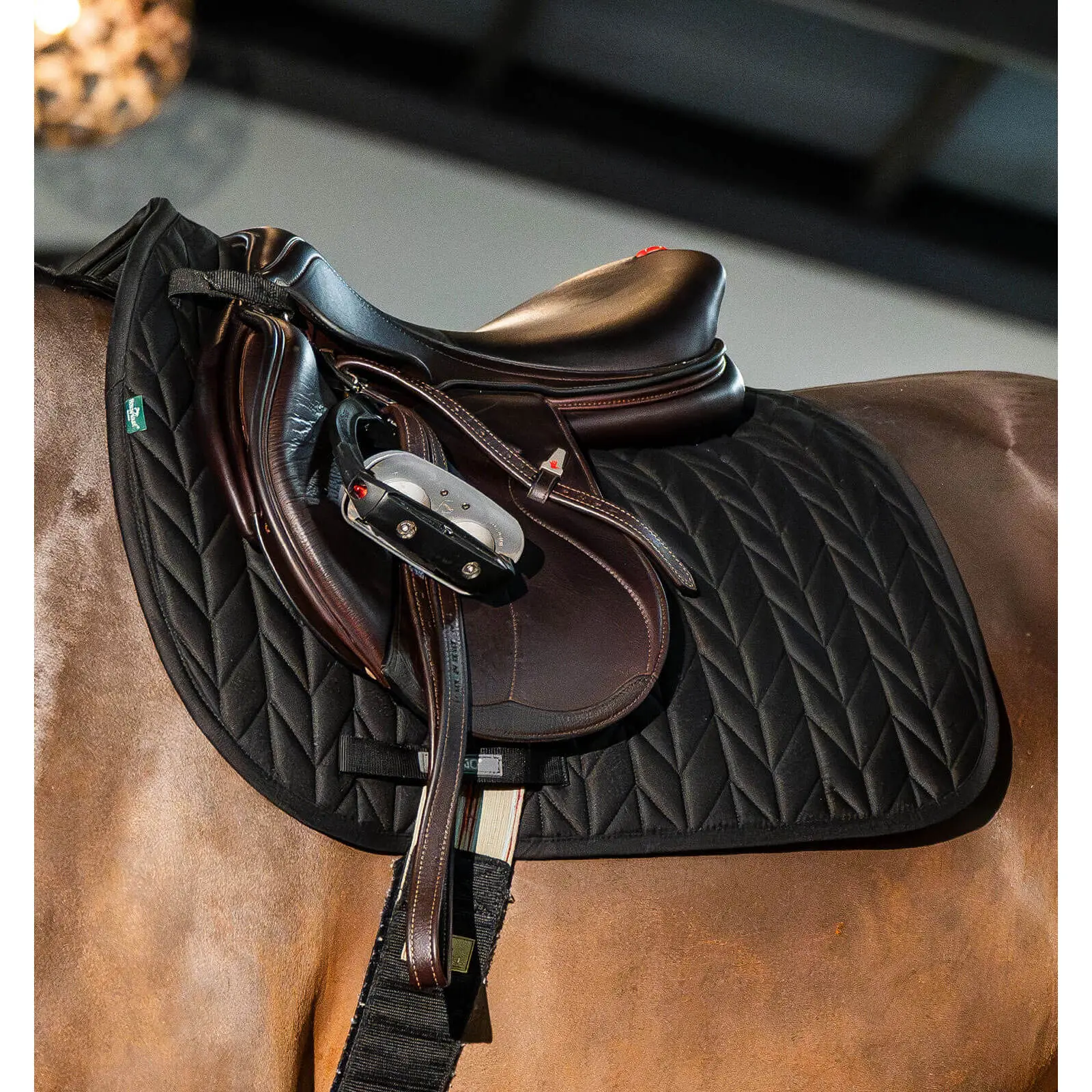 Horseware Noir Saddle Pad For Horses Amigo Close Contact