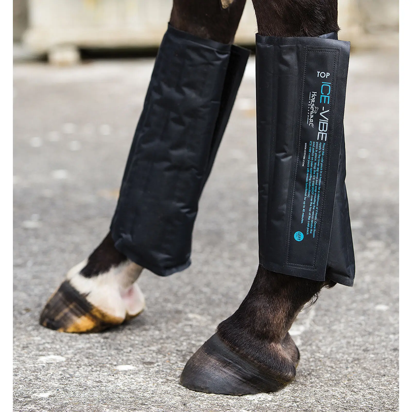 Horseware Noir Cold Pocket For Horse Gaiters Ice-Vibe