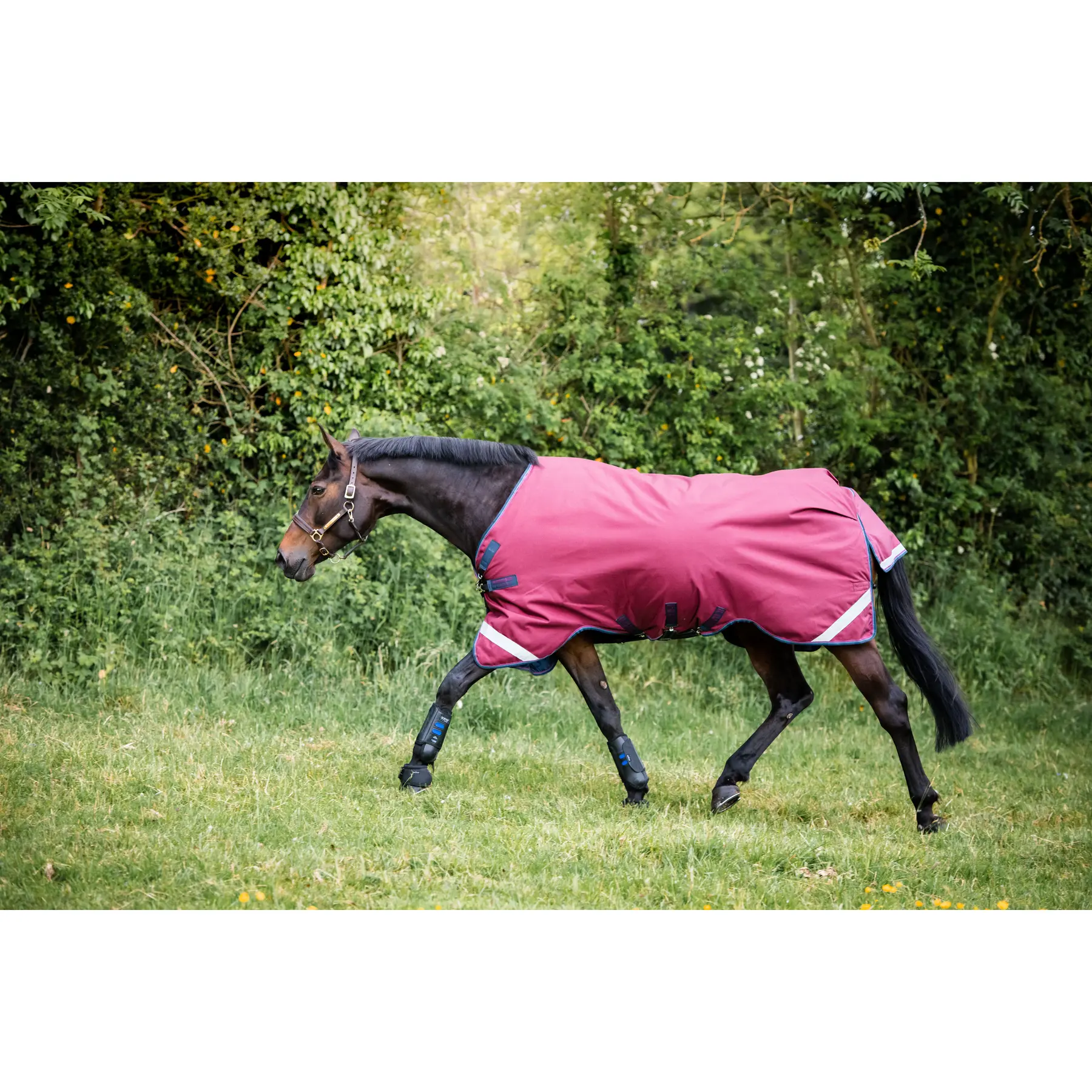 Horseware Rouge Outdoor Horse Blanket Rambo Orig Turnout Lite L/A 0G