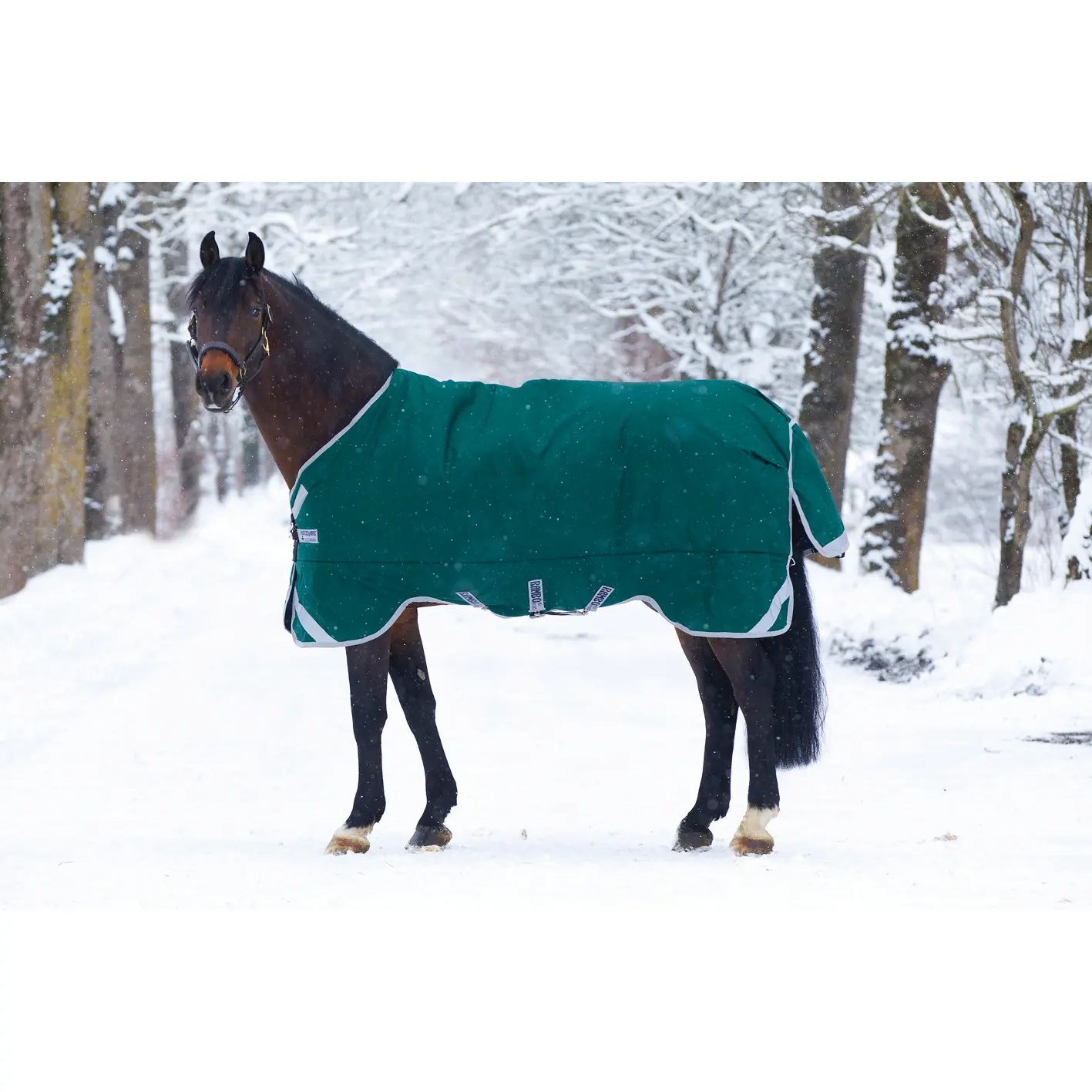 Comparer les prix de Couverture d'extérieur pour cheval Horseware Rambo Orig Turnout Hvy L/A 400g