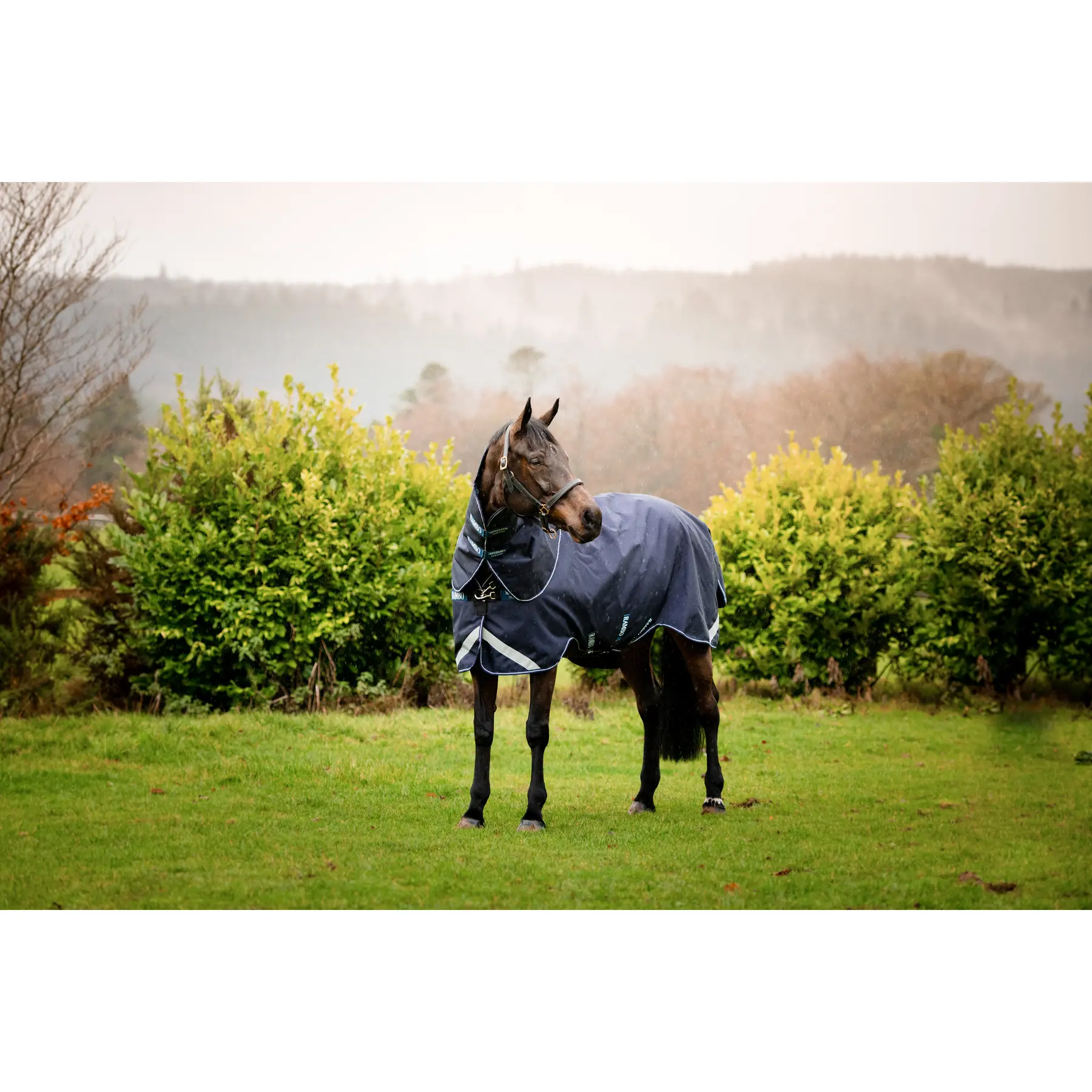 Meilleurs prix pour Couverture d'extérieur pour cheval Horseware Rambo Duo Force 100g