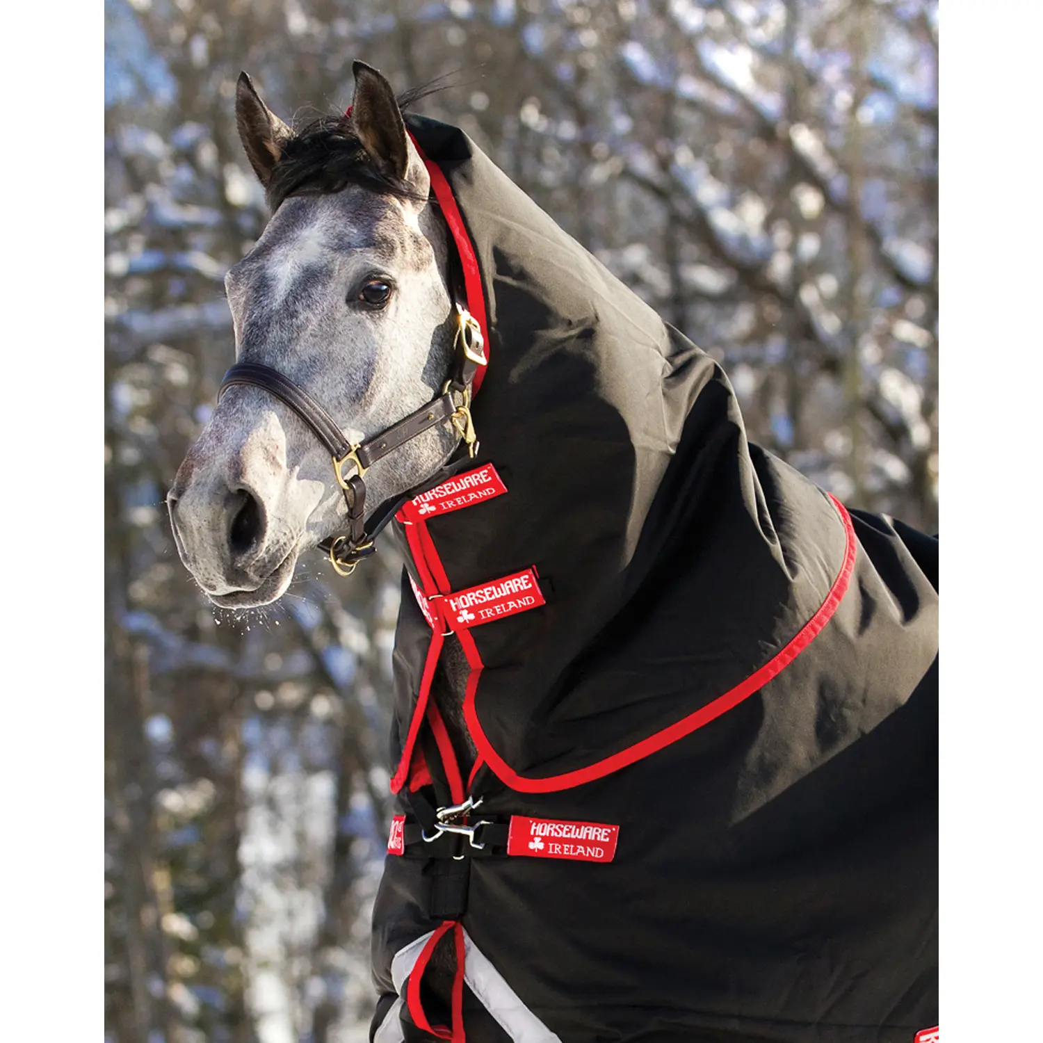 Couvre-cou pour cheval Horseware Rambo Supreme 250G