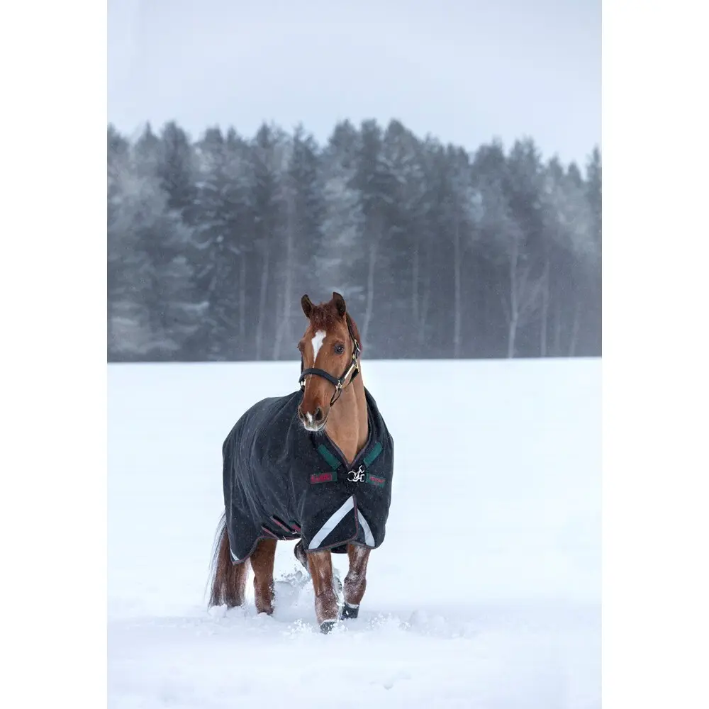 Couverture d'extérieur pour cheval Horseware Rambo Wug Turnout Hvy 400g