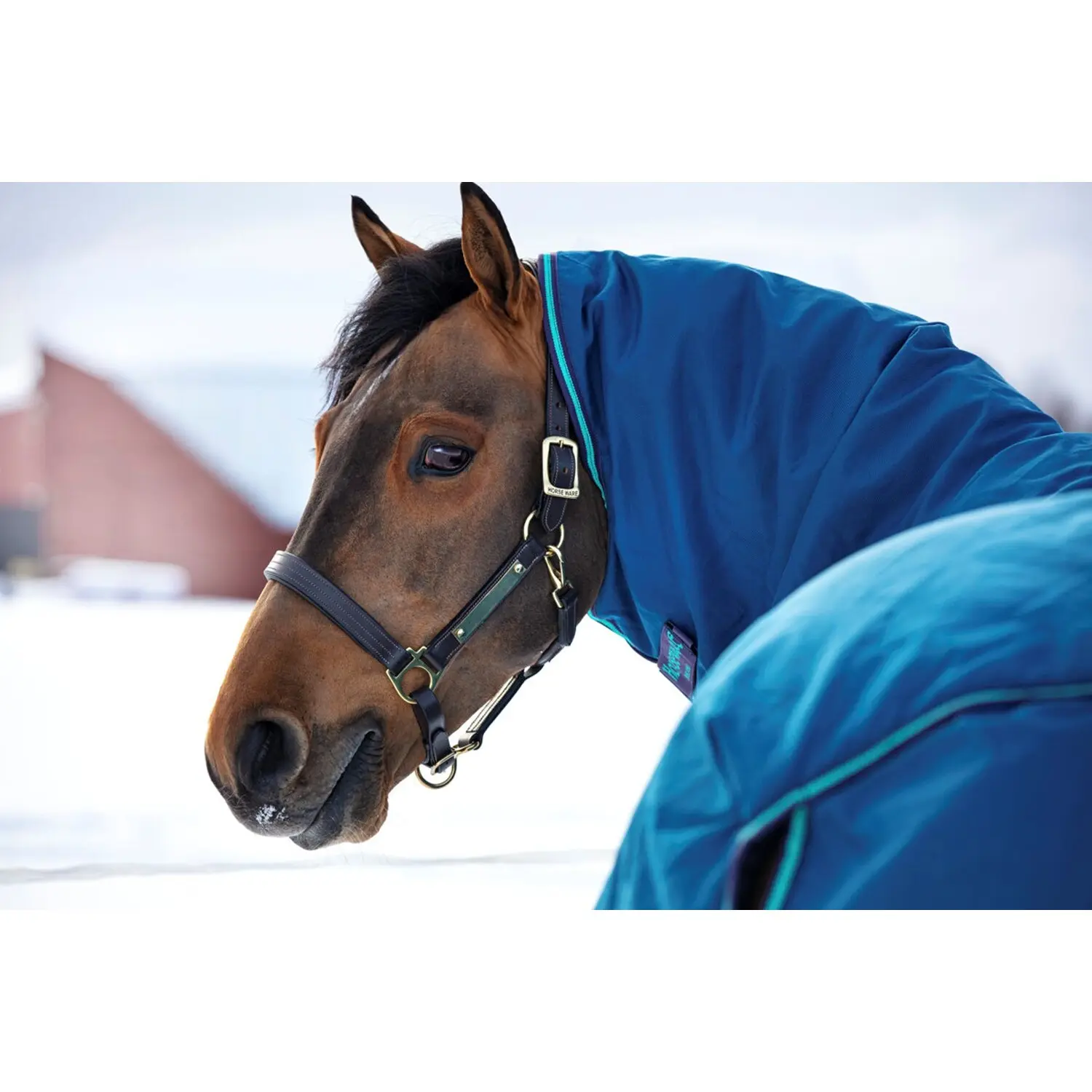 Comparer les prix de Couvre-cou pour cheval Horseware Rhino T/O Hood No Fill 150g